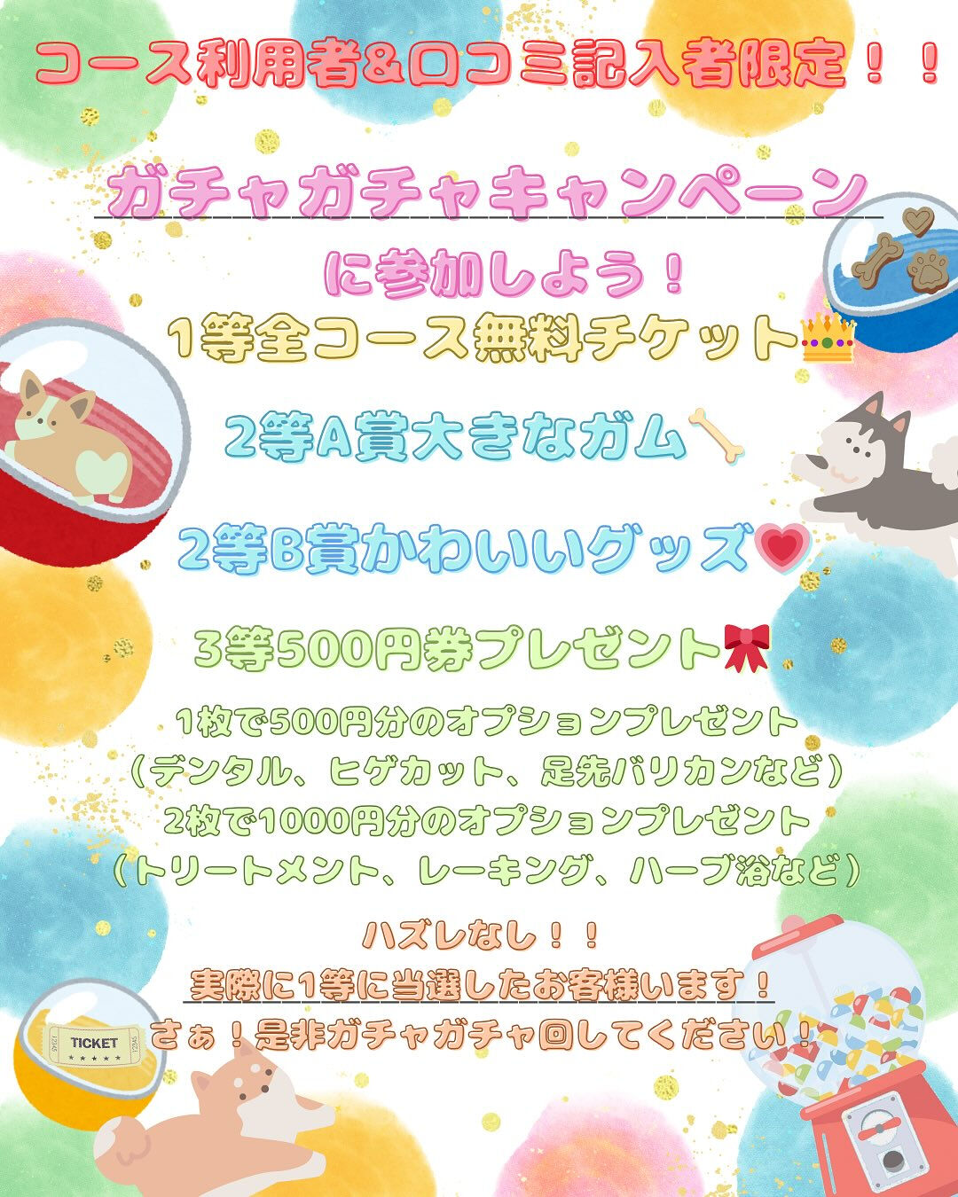 【愛知県春日井市のトリミングサロン✂️】