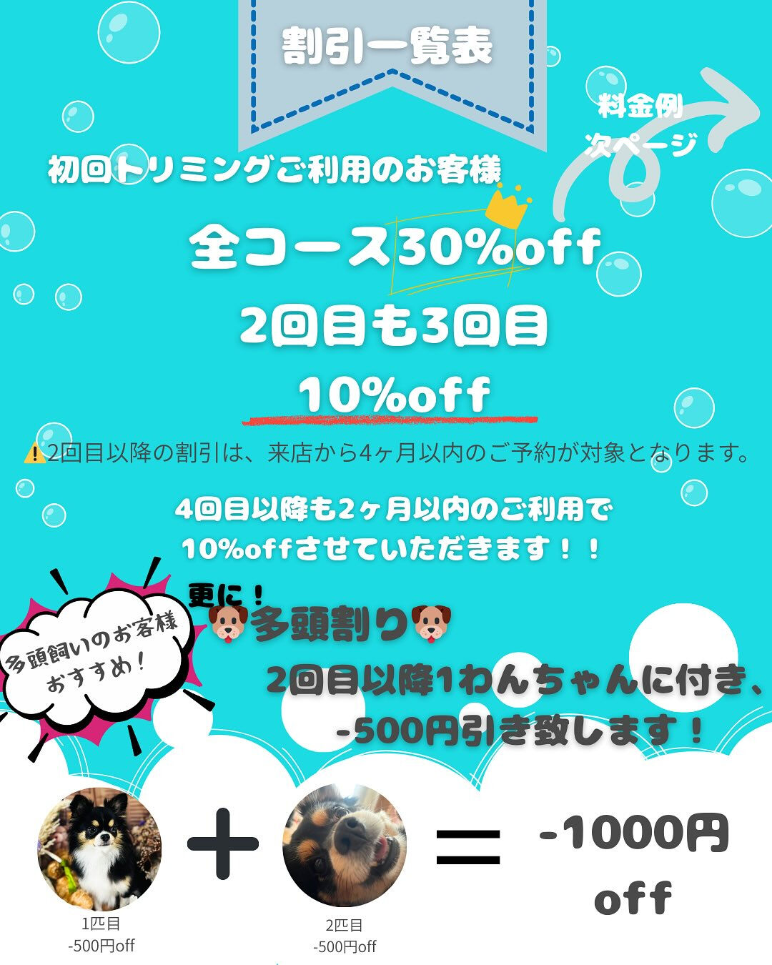 【愛知県春日井市のトリミングサロン✂️】