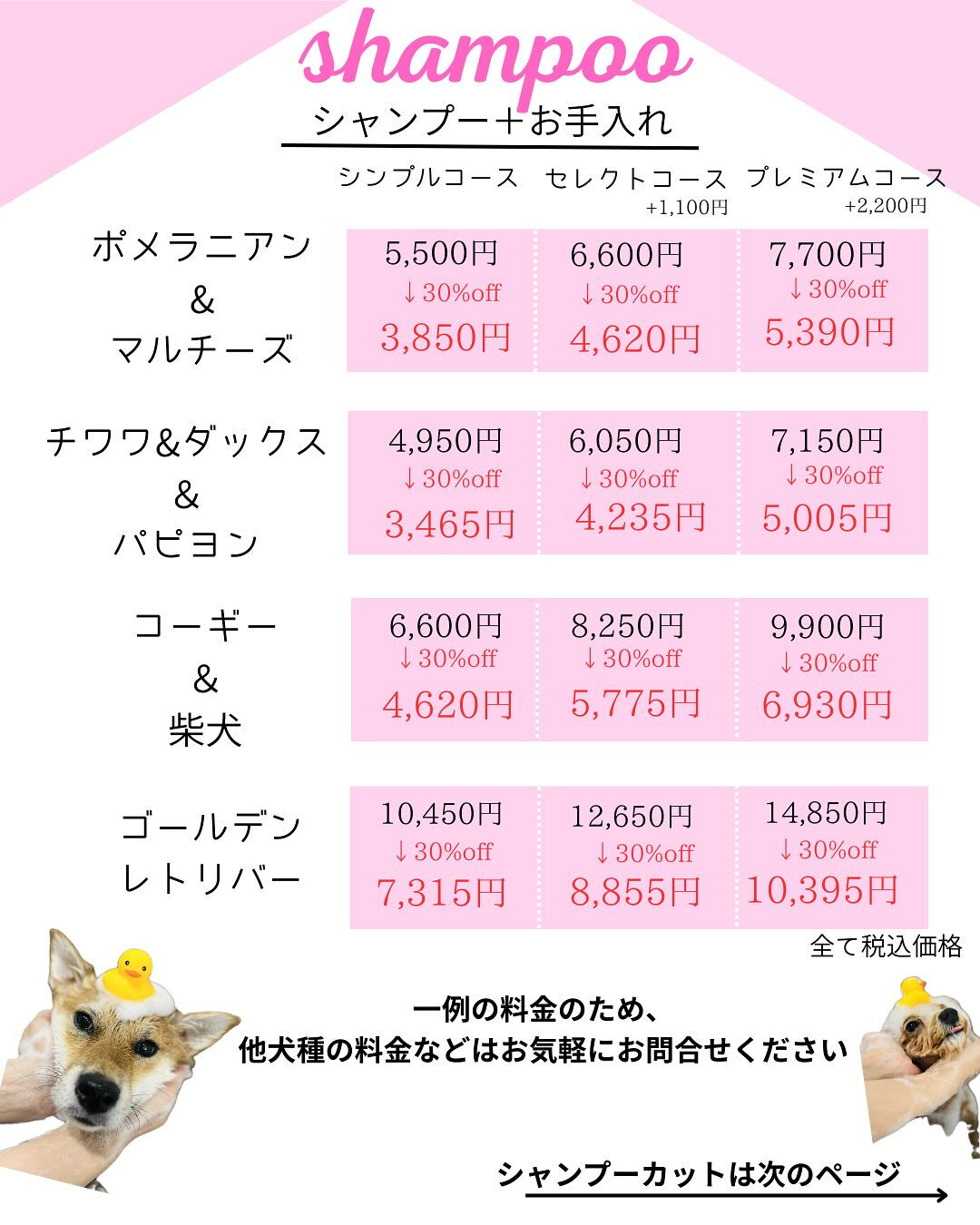 【愛知県春日井市のトリミングサロン✂️】