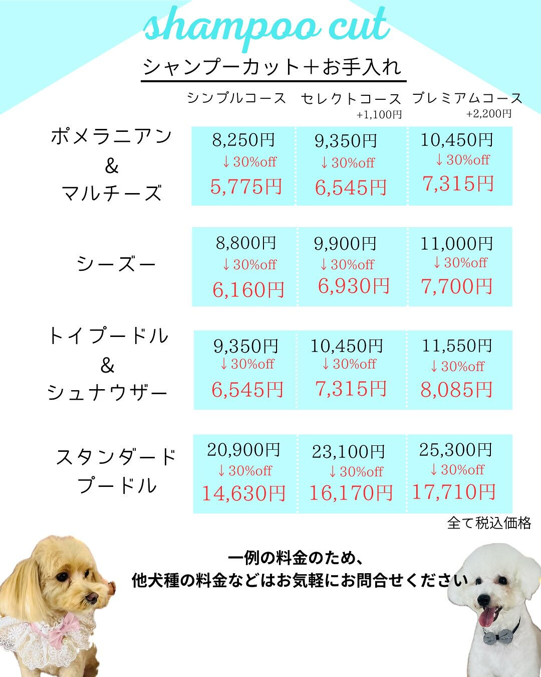 【愛知県春日井市のトリミングサロン✂️】