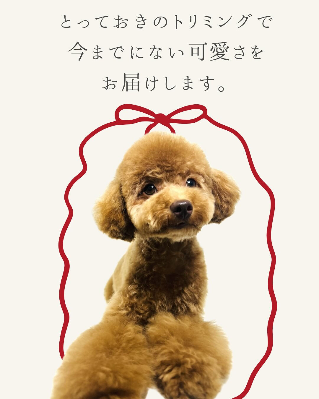 【愛知県春日井市のトリミングサロン✂️】