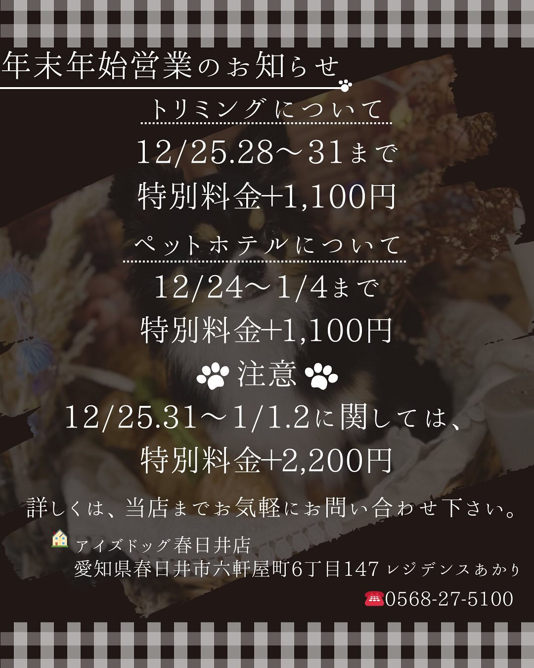 【愛知県春日井市のトリミングサロン✂️】