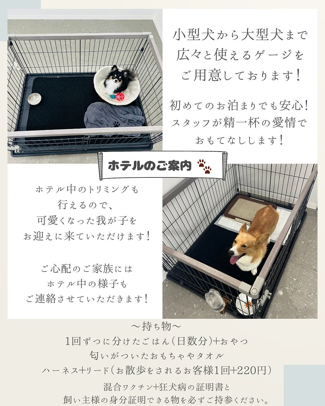【春日井市のトリミングサロン✂️】