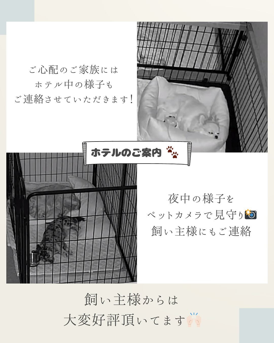 【春日井市のトリミングサロン✂️】