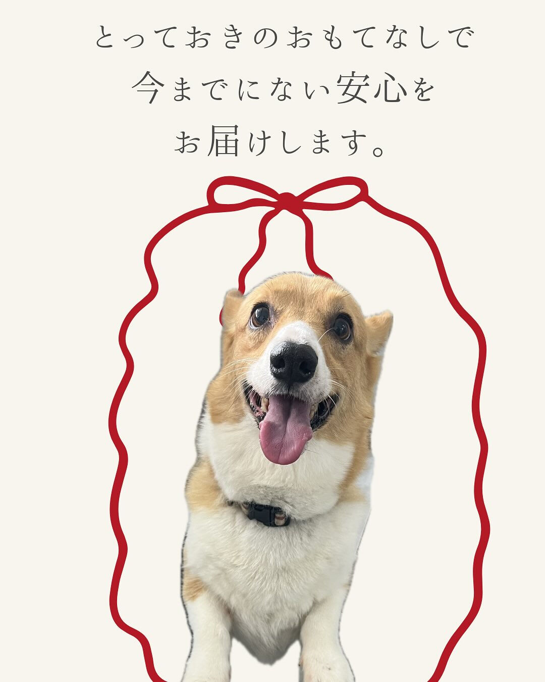 【春日井市のトリミングサロン✂️】