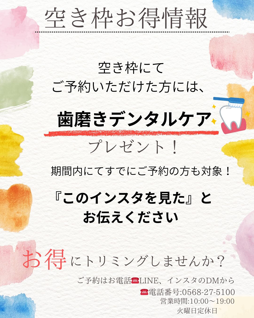 🐾 今週の空き枠＆お得情報 🐾