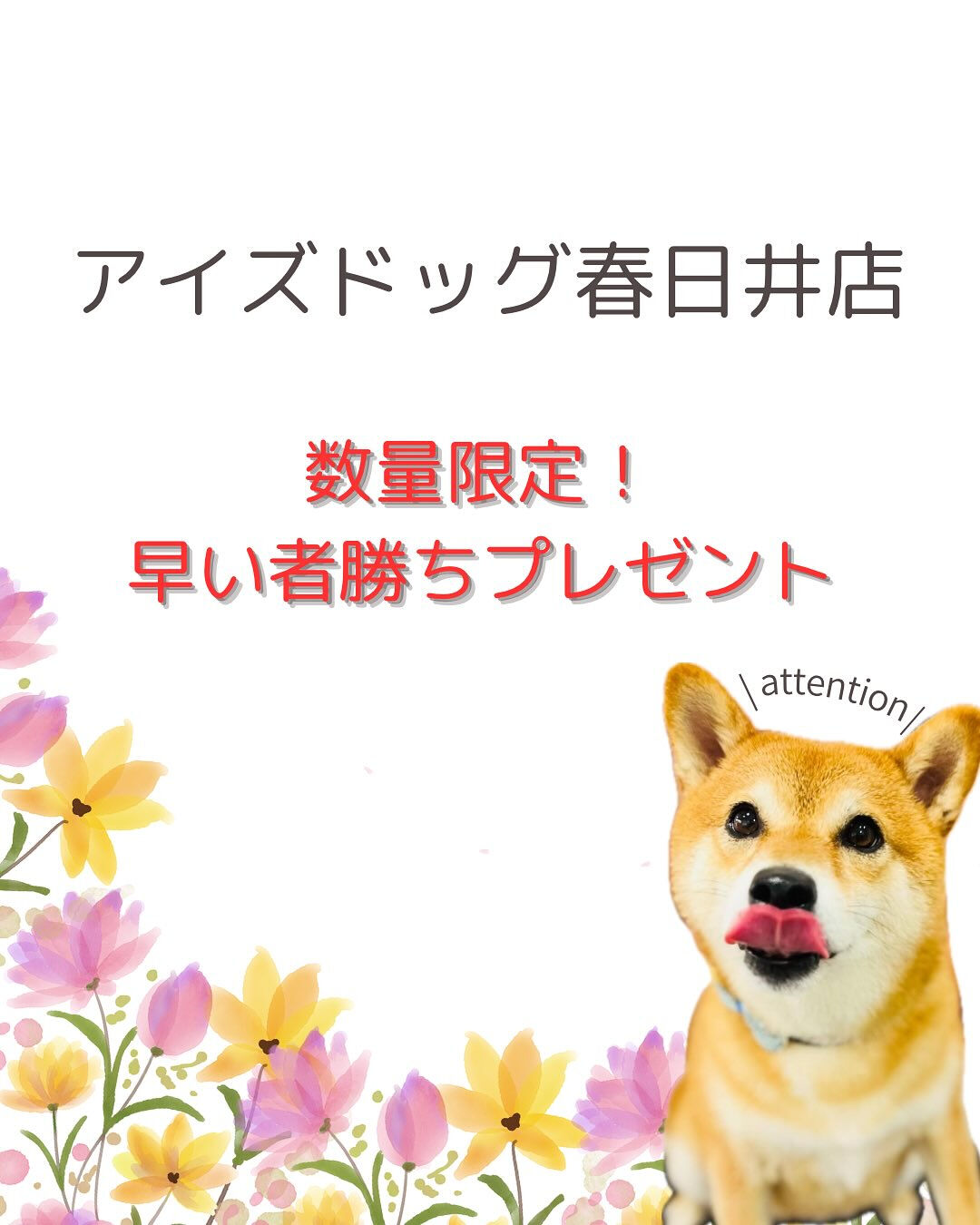 🎁✨数量限定イベントのお知らせ✨🎁