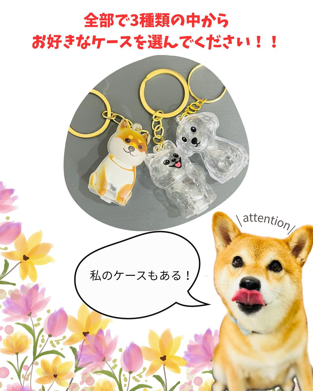 🎁✨数量限定イベントのお知らせ✨🎁