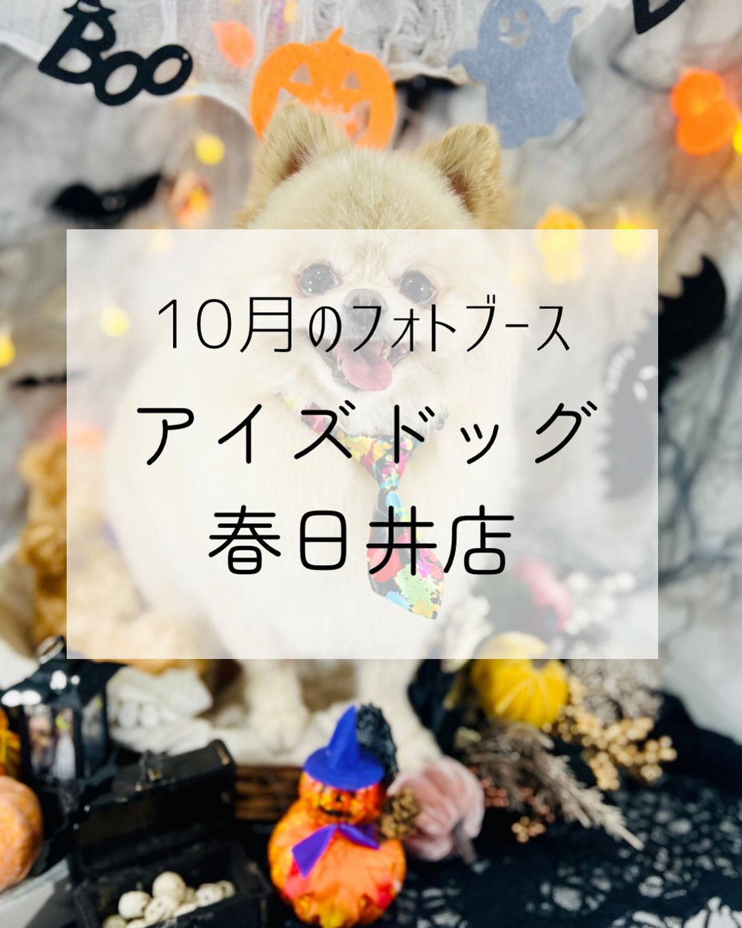 🎃10月限定👻ハロウィンフォトブース登場🎃