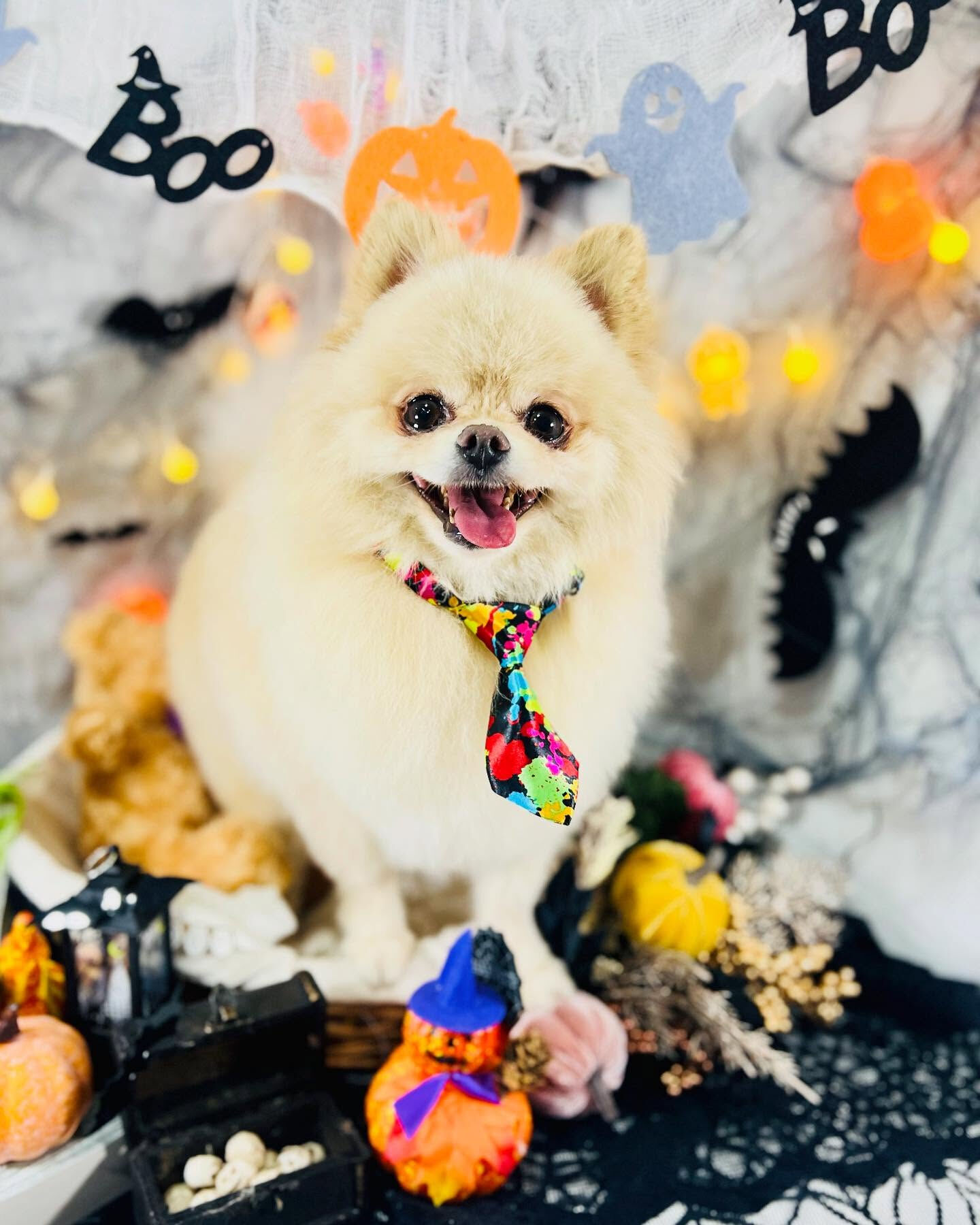 🎃10月限定👻ハロウィンフォトブース登場🎃