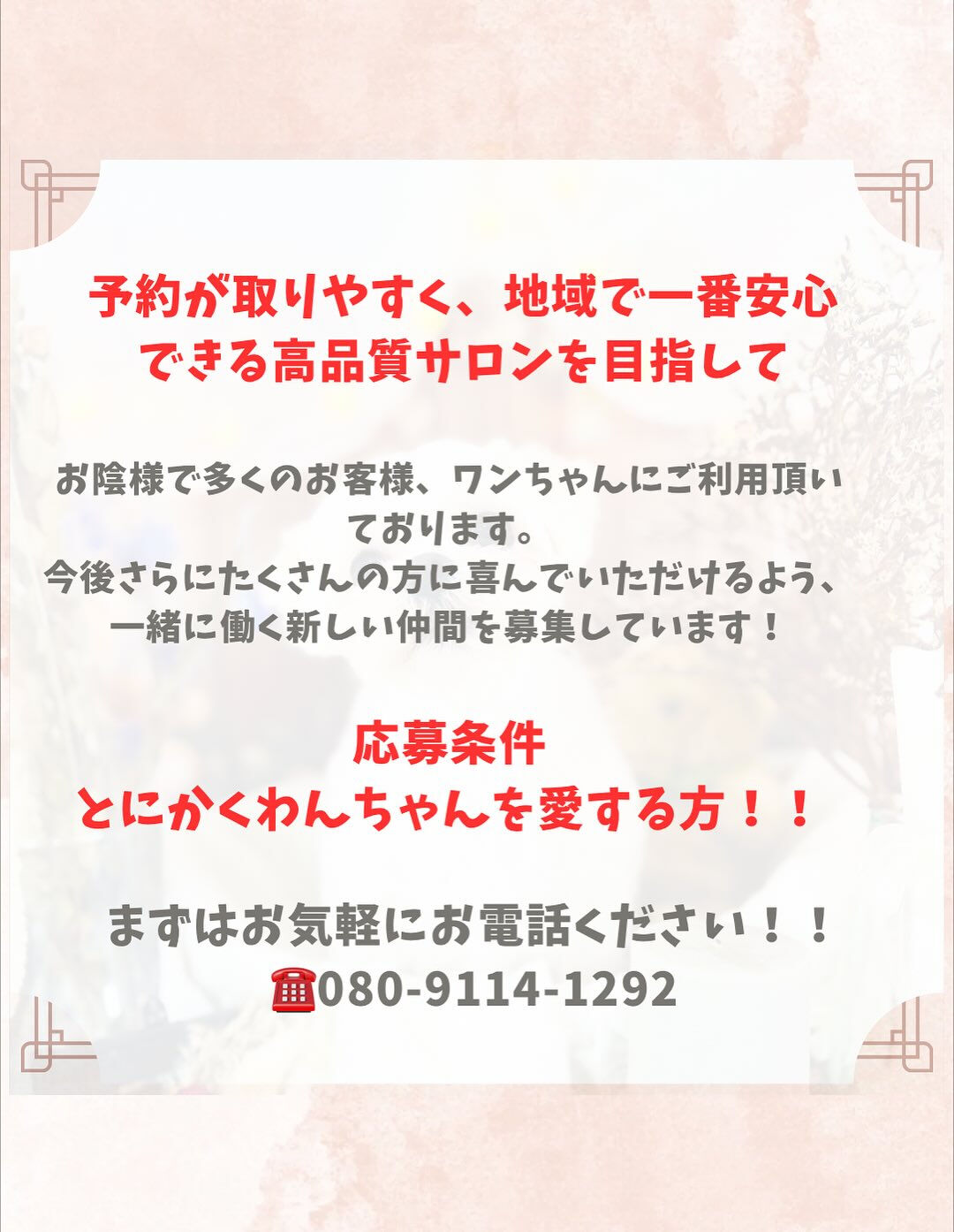 ご来店いただいたヤマトくんです🐶✨