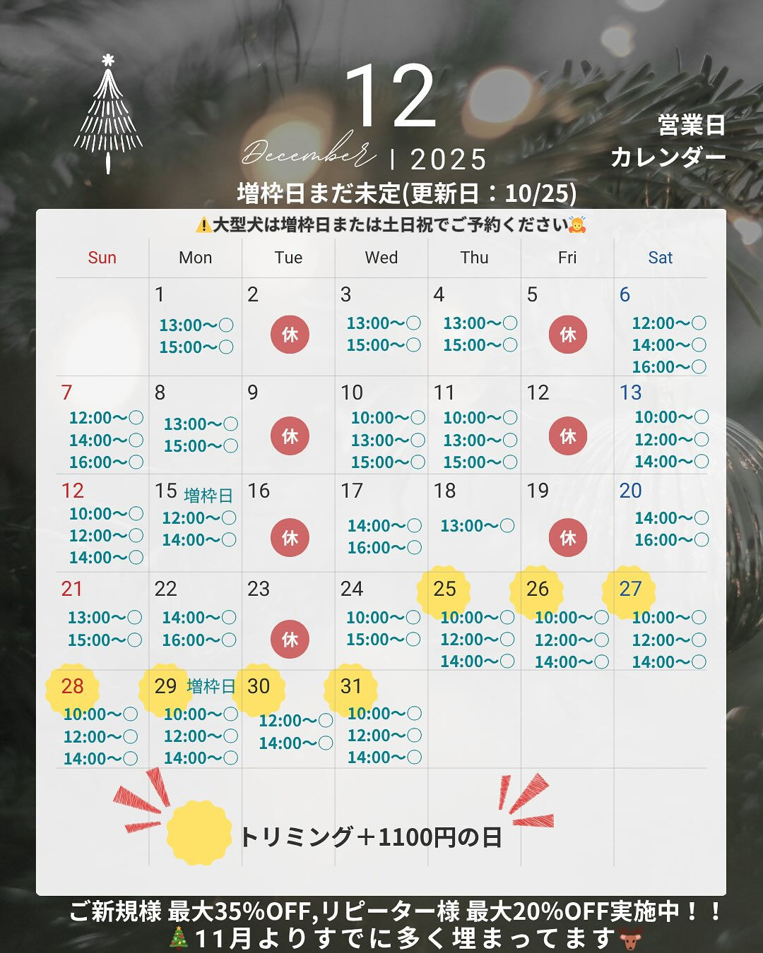 📢【トリミング空き枠のご案内】✂️✨