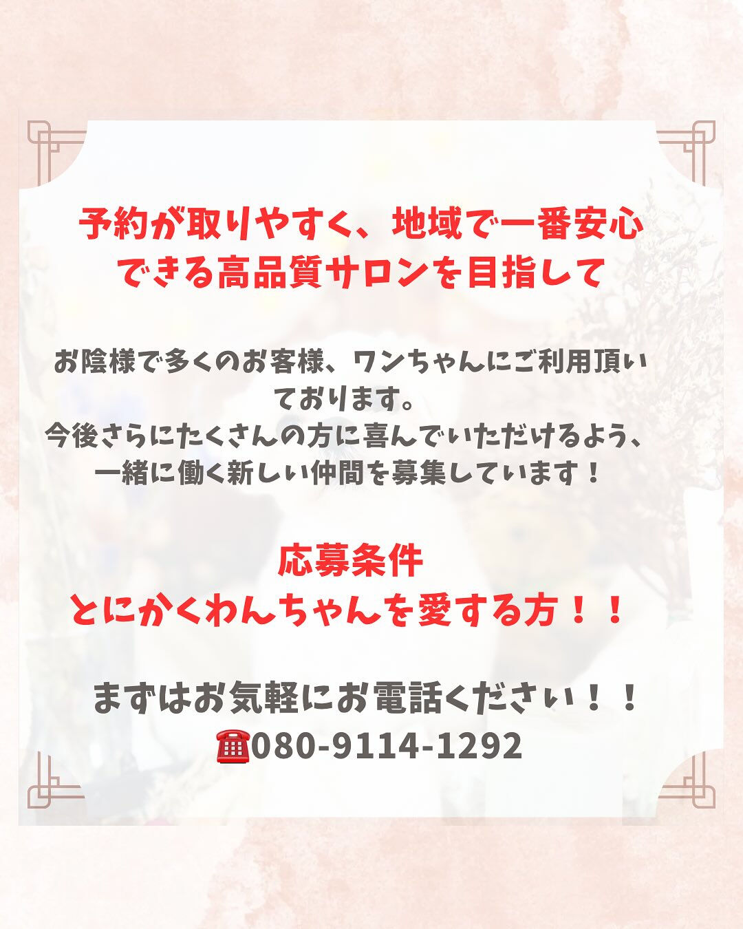 📢【トリミング空き枠のご案内】✂️✨