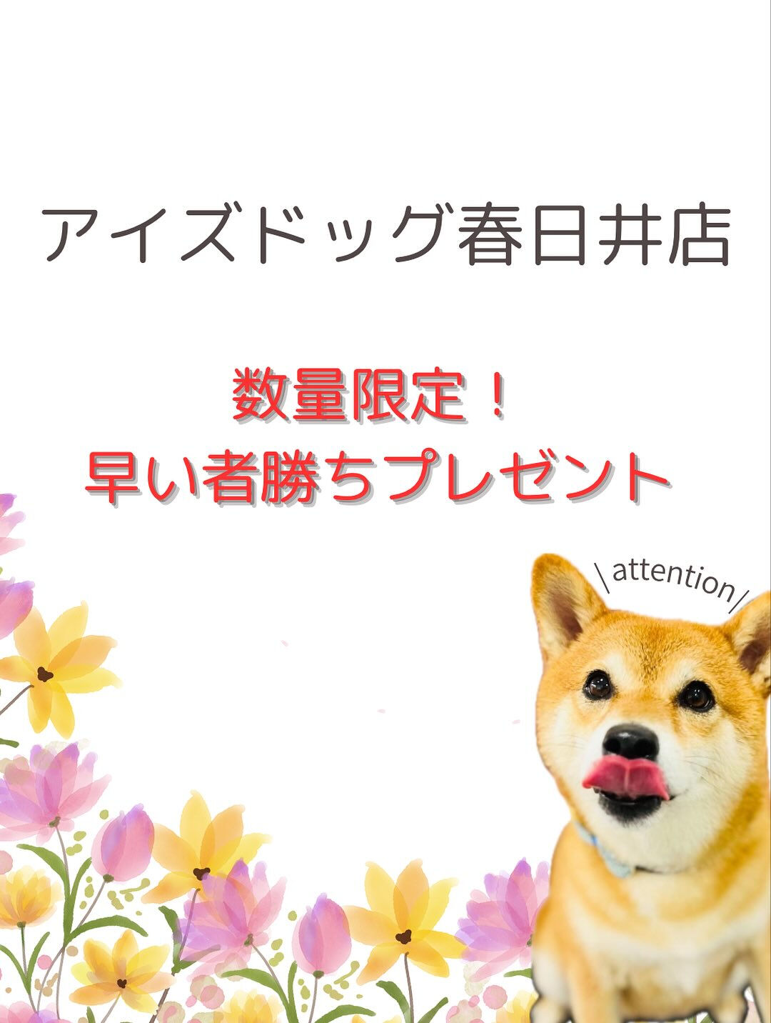 ご来店いただいたマロンくんです🐶✨