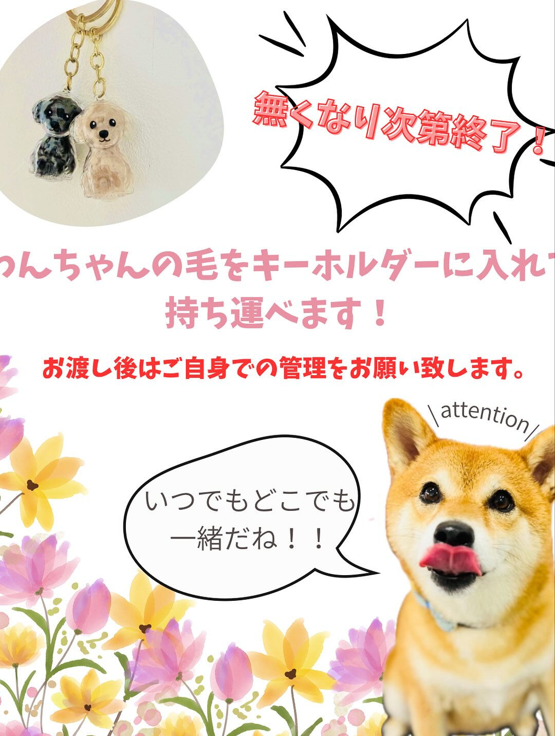 ご来店いただいたマロンくんです🐶✨