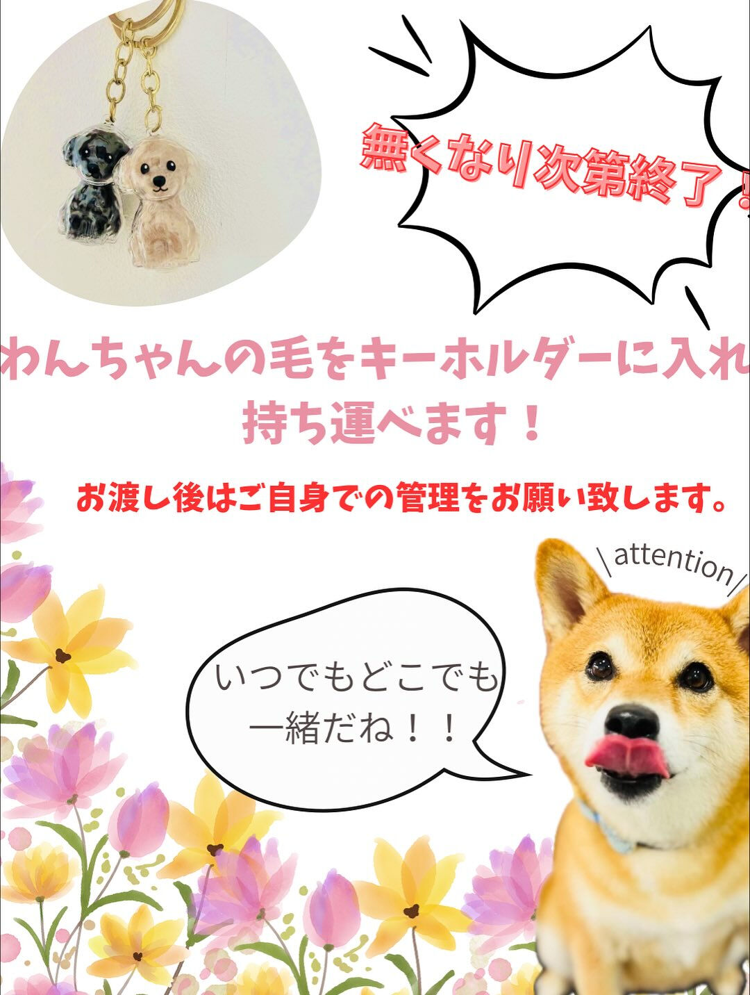 ご来店いただいたジャックくんです🐶✨