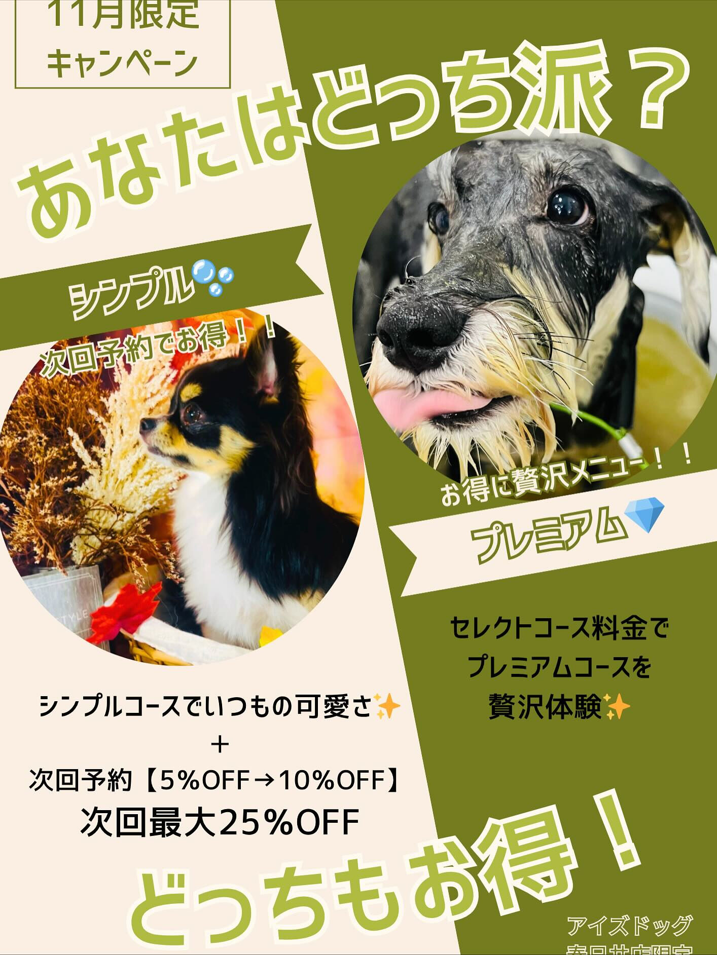 ご来店いただいたくろすけくんです🐶✨