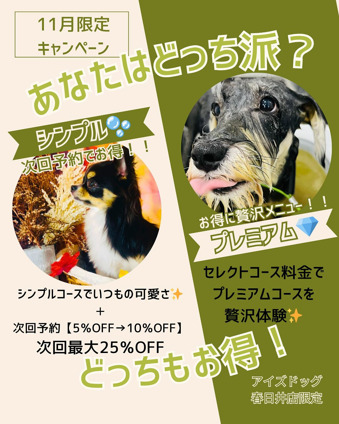 📢【トリミング空き枠のご案内】✂️✨