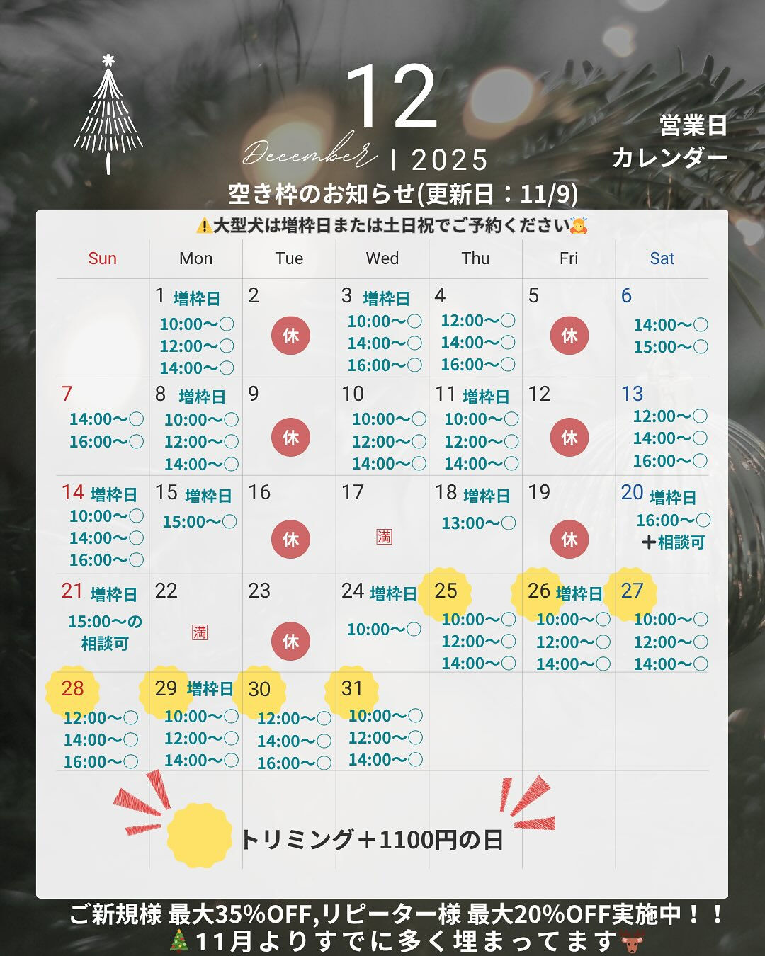 📢【トリミング空き枠のご案内】✂️✨