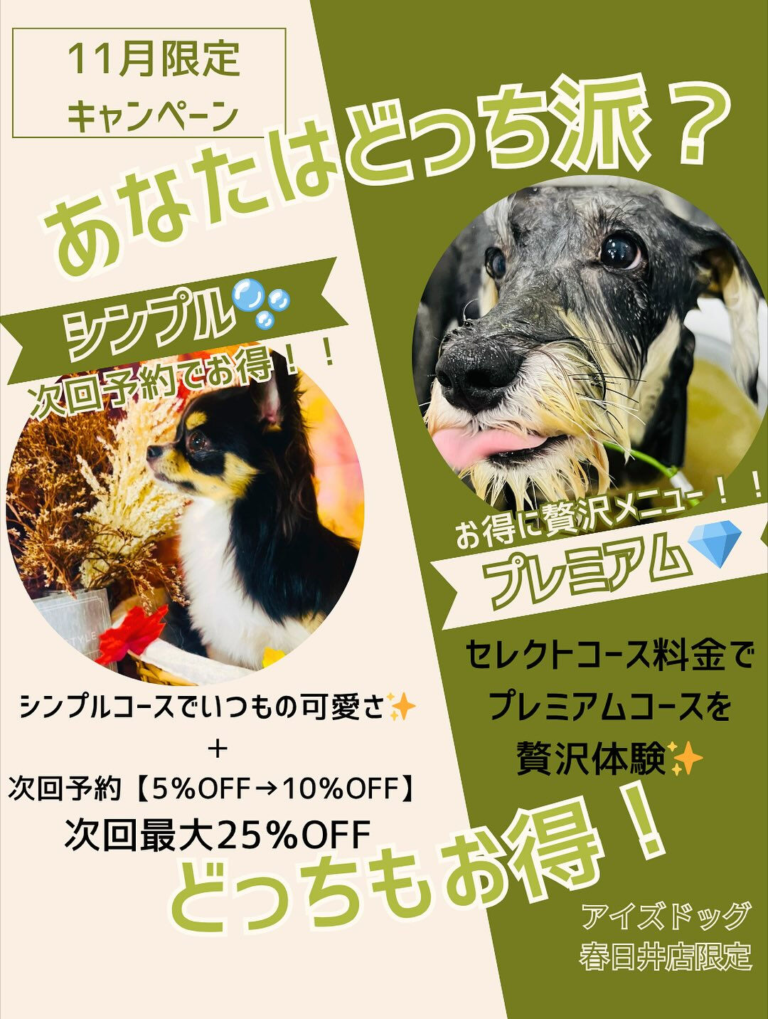 ご来店いただいたロンくんです🐶✨