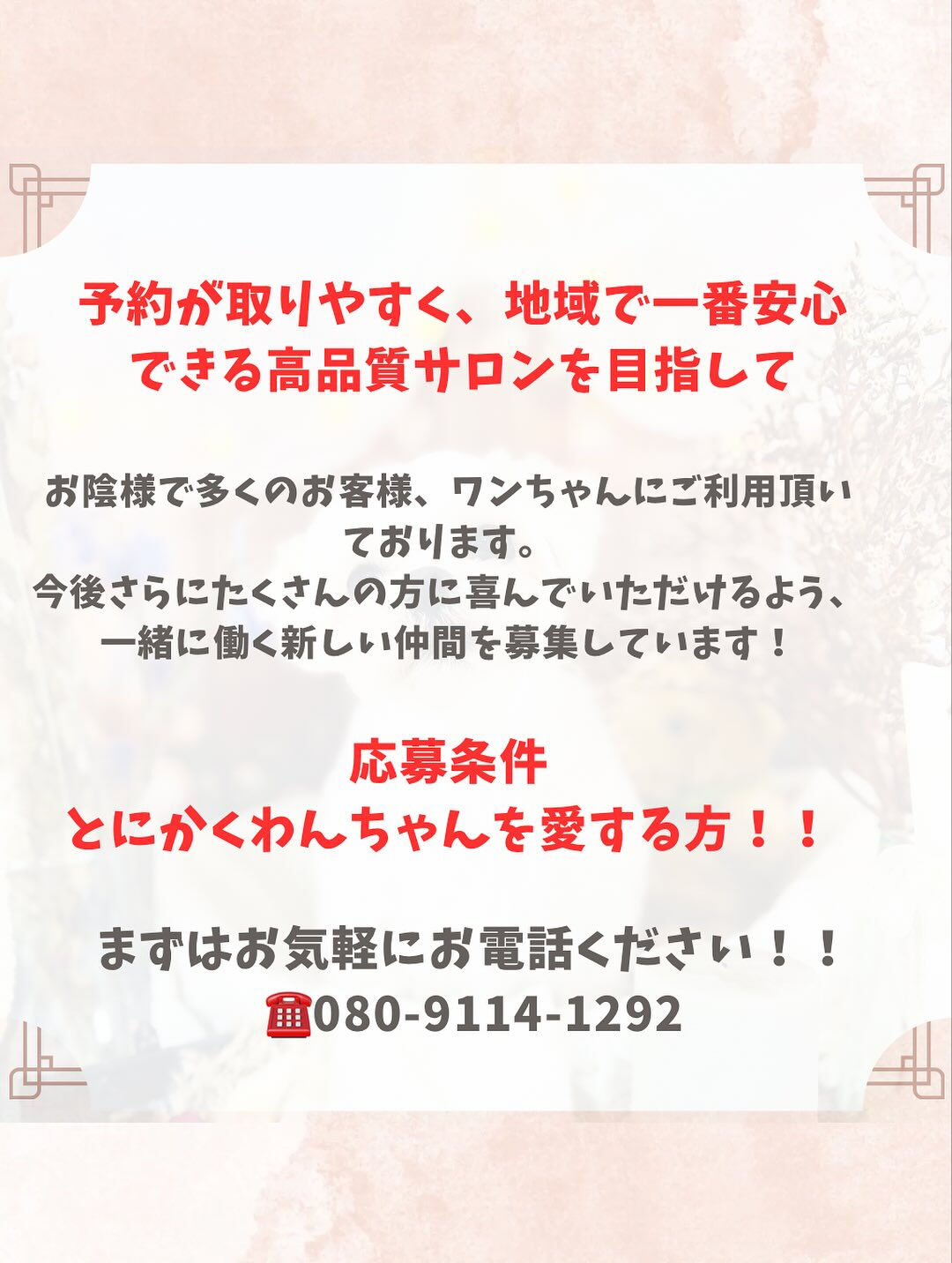 ご来店いただいたロンくんです🐶✨