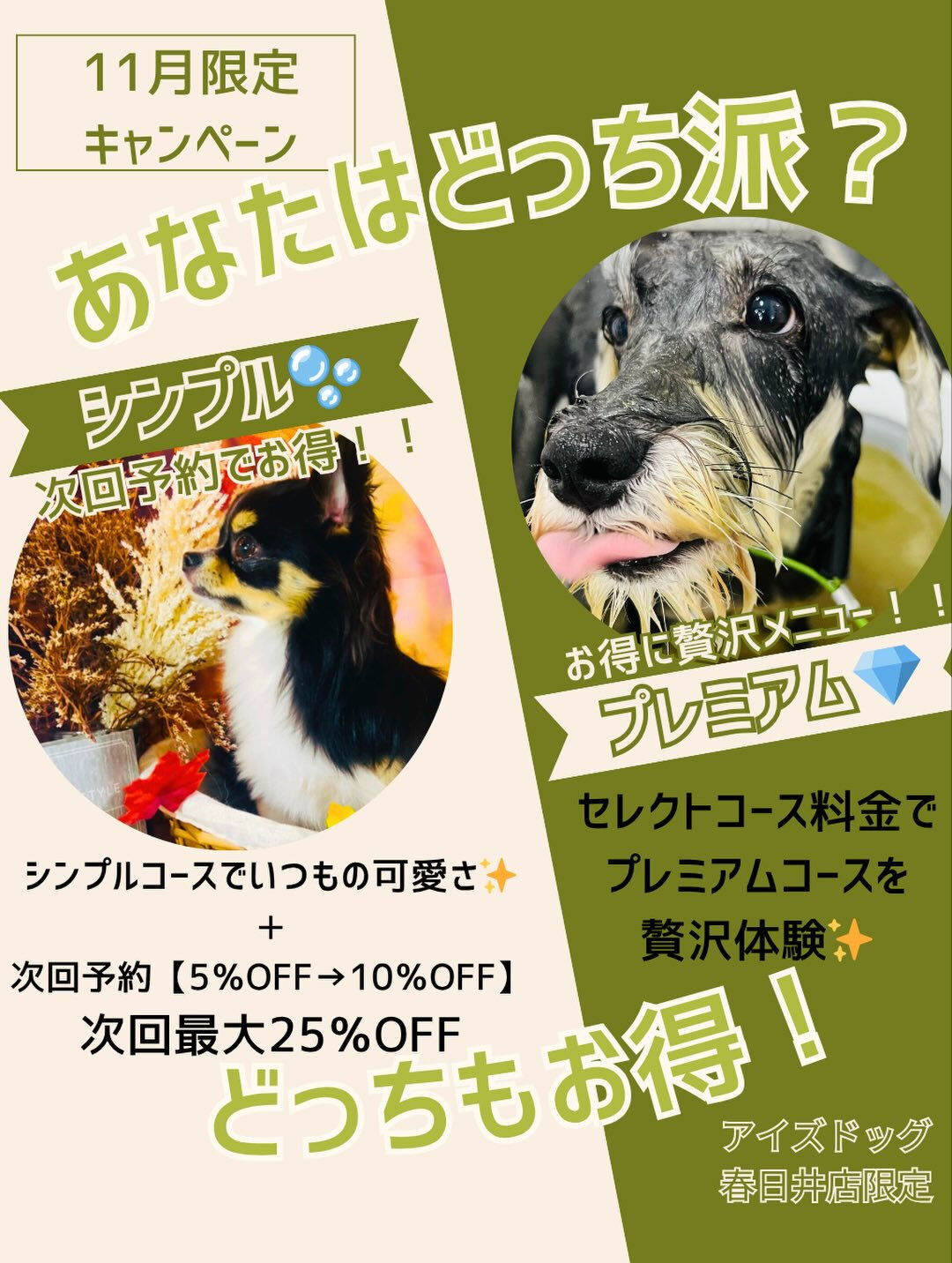 ご来店いただいたおとちゃんです🐶✨