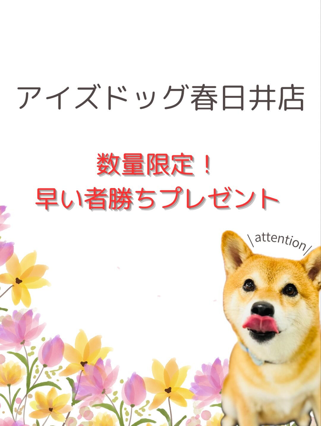 ご来店いただいたおとちゃんです🐶✨