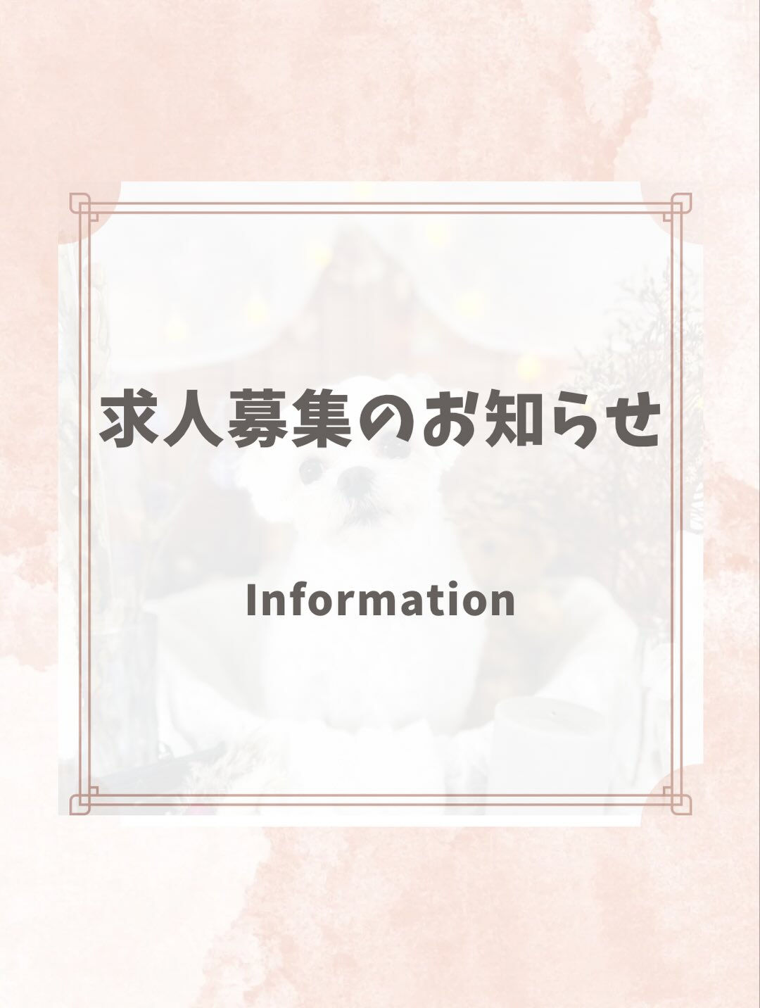 ご来店いただいたももちゃんです🐶✨