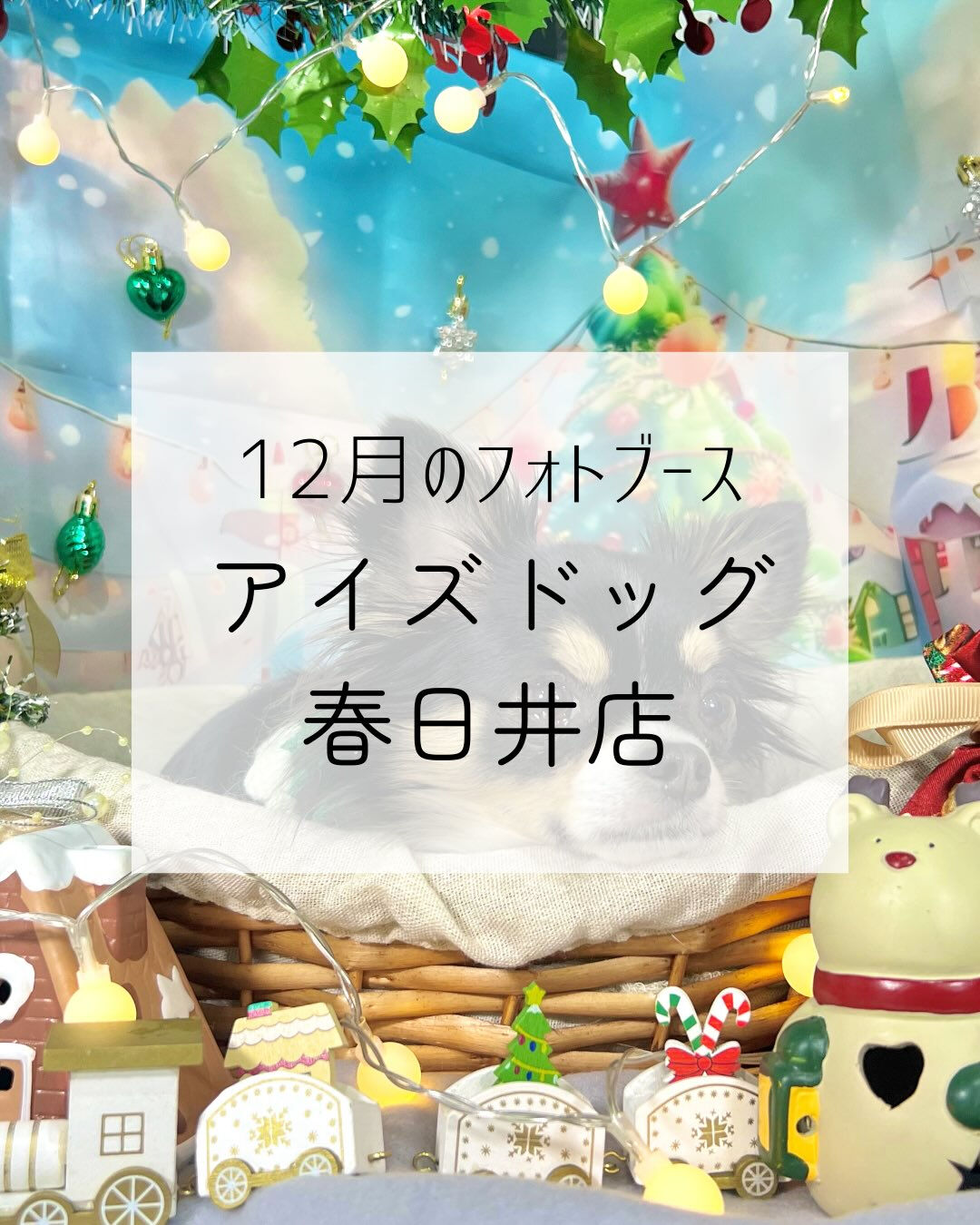 📸✨12月限定フォトブース登場！✨📸