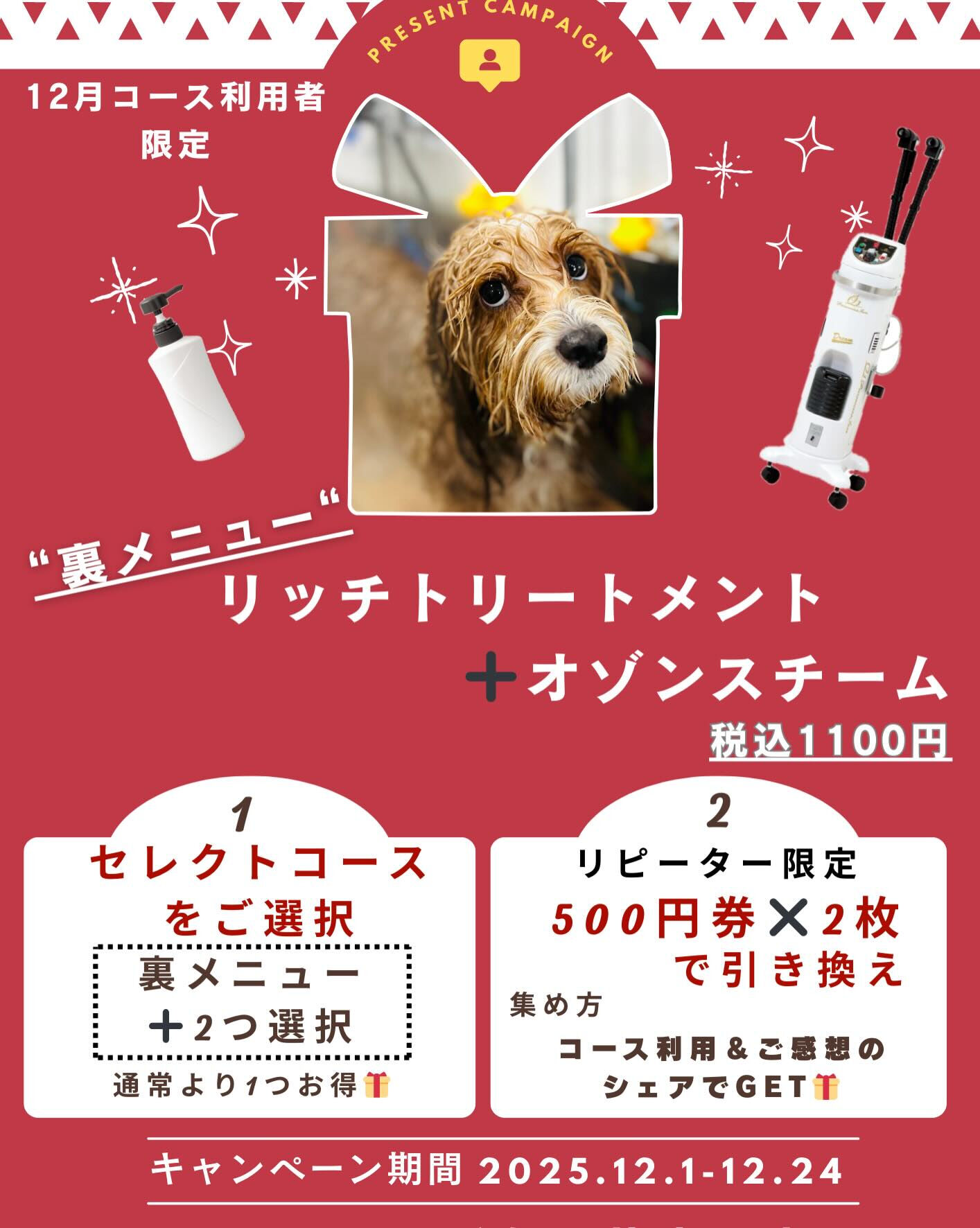 📢【トリミング空き枠のご案内】✂️✨