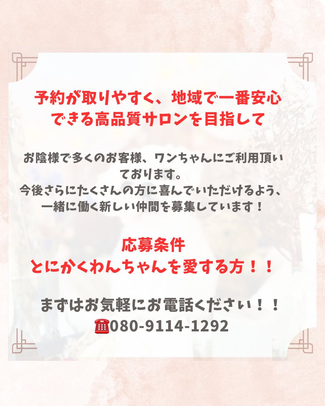 📢【トリミング空き枠のご案内】✂️✨
