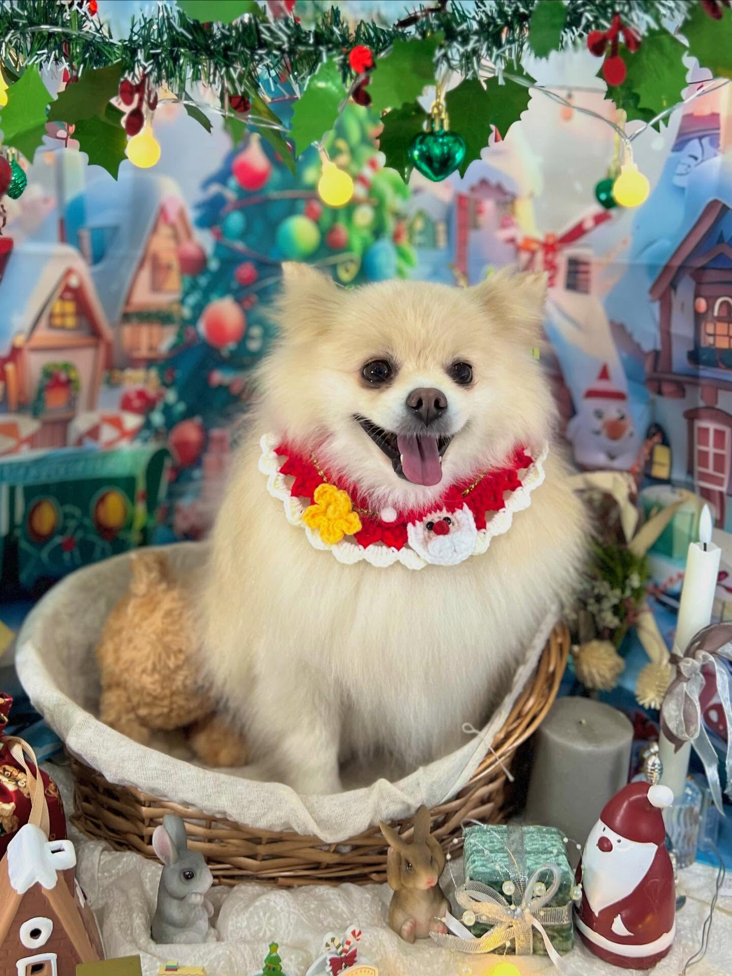 ご来店いただいたはな子ちゃんです🐶✨