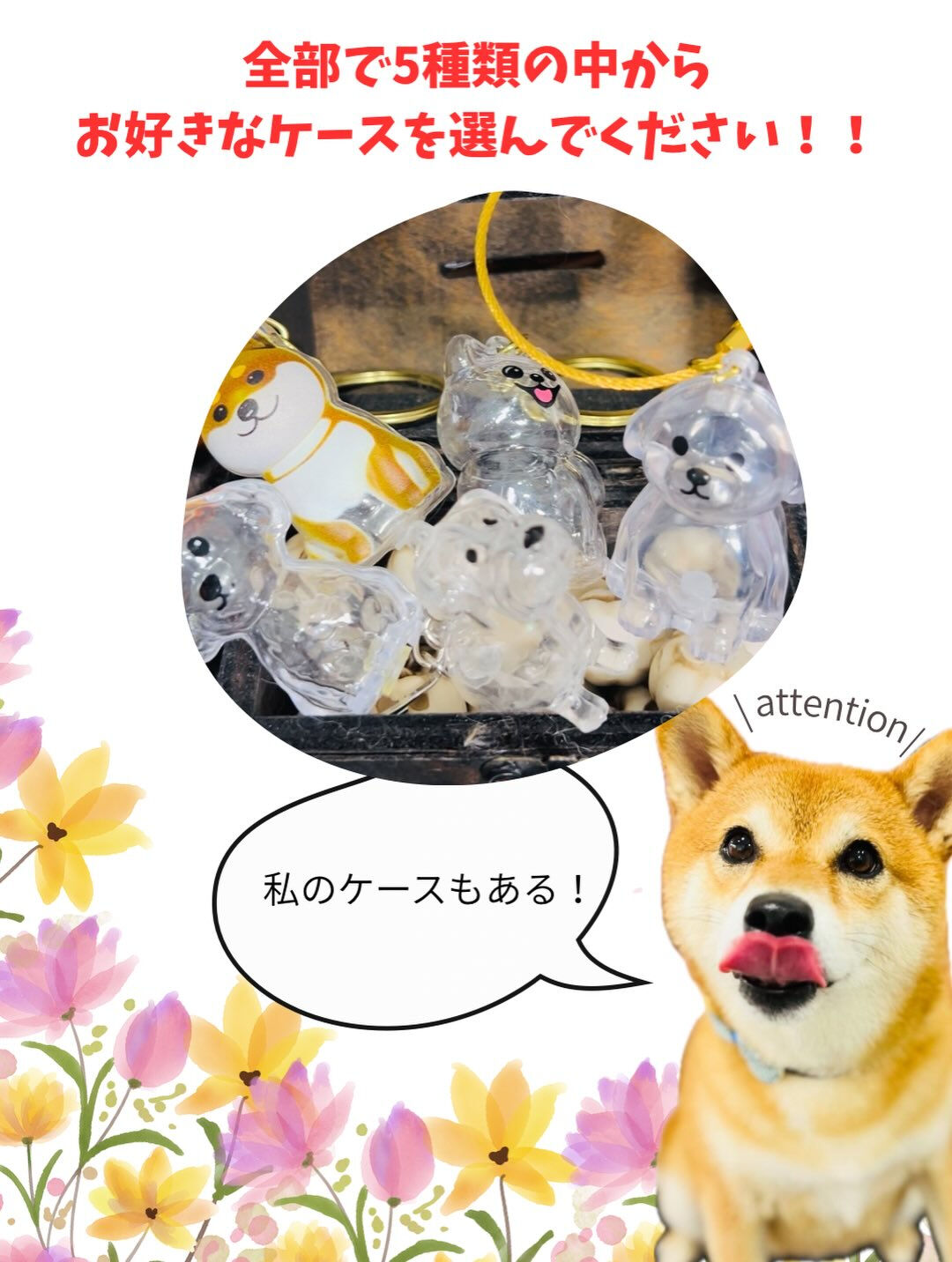 ご来店いただいたはな子ちゃんです🐶✨