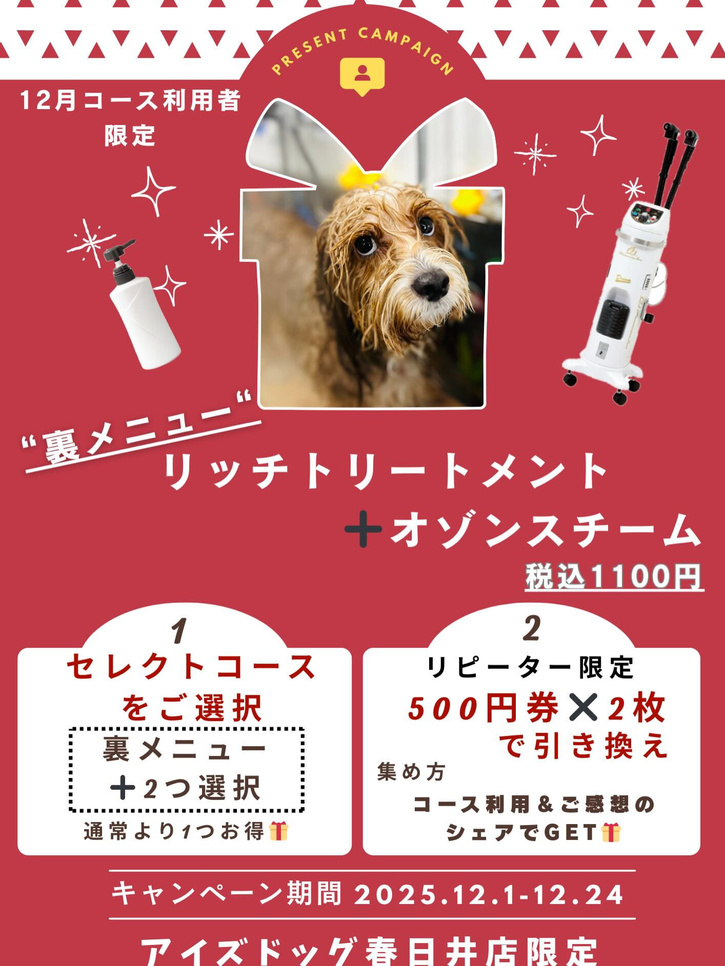 ご来店いただいたロンくんです🐶✨