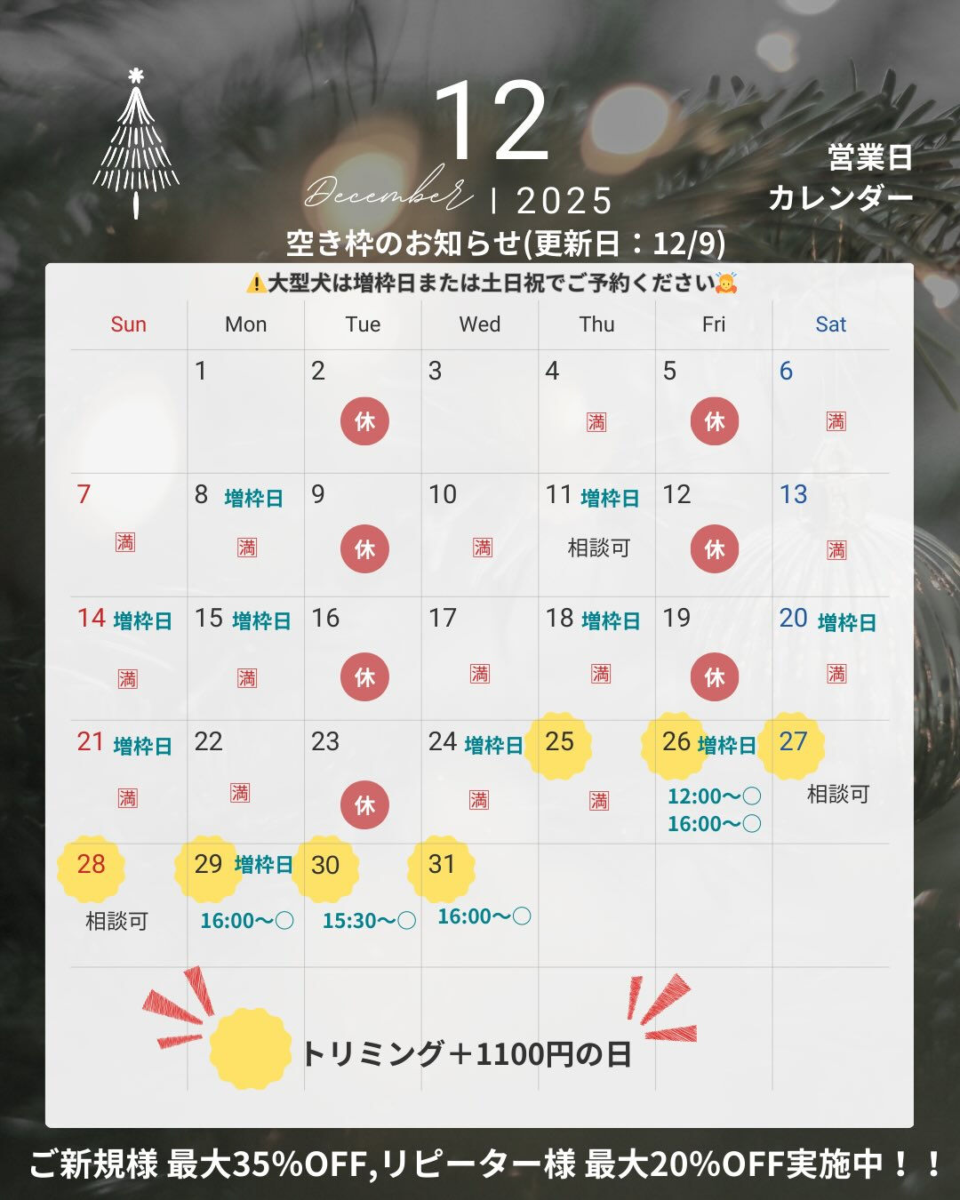 📢【トリミング空き枠のご案内】✂️✨