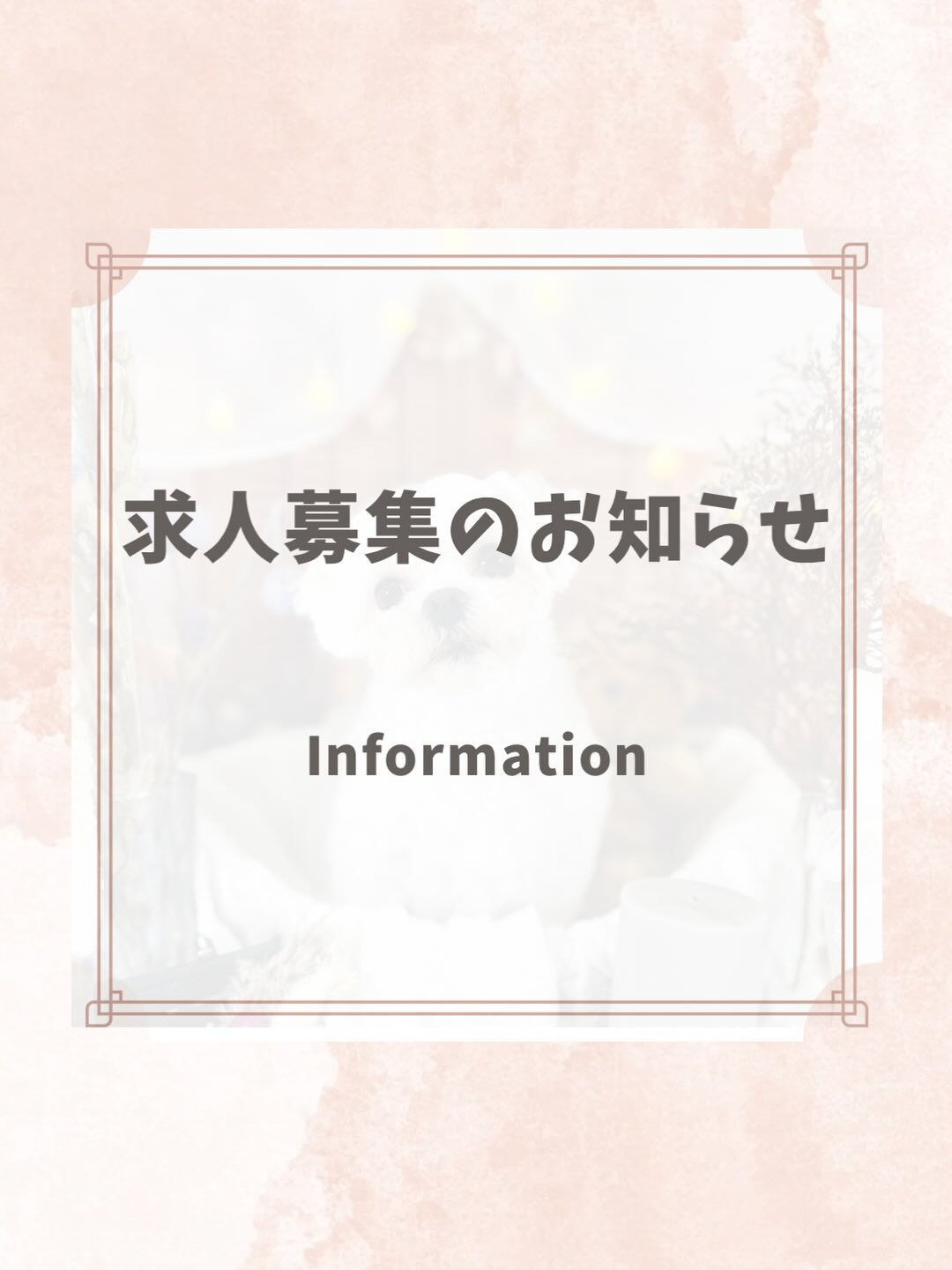 ご来店いただいたラテくんです🐶✨