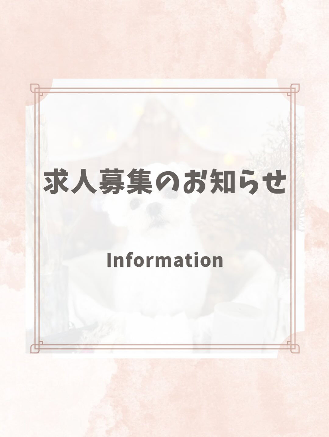 ご来店いただいた莉楽ちゃんです🐶✨