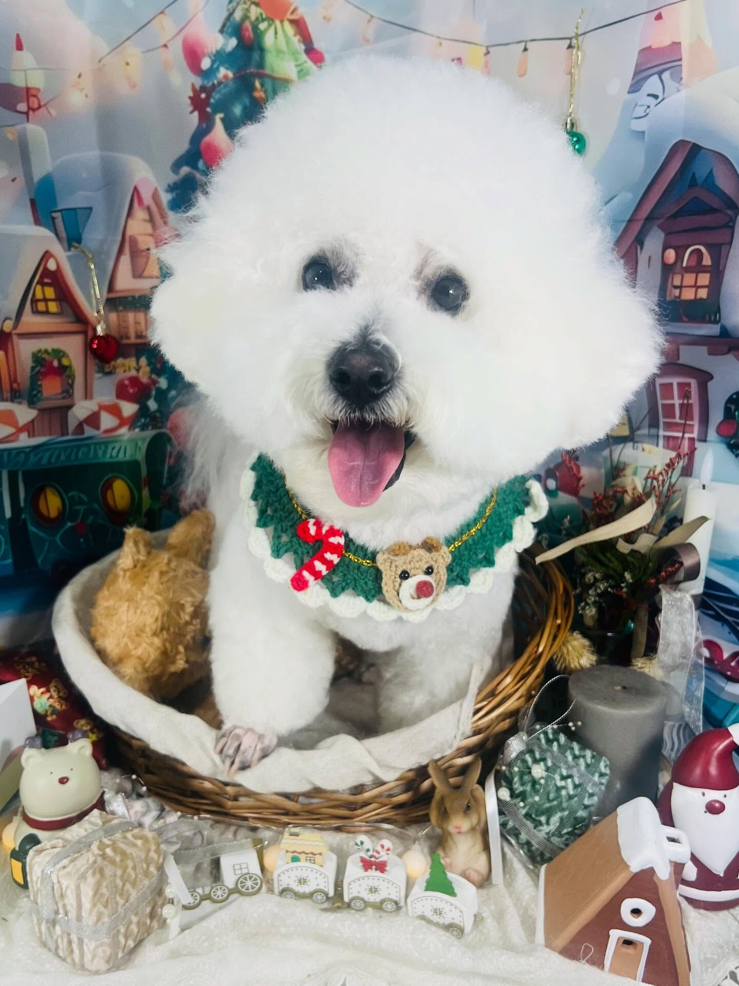 ご来店いただいたアムロくんです🐶✨