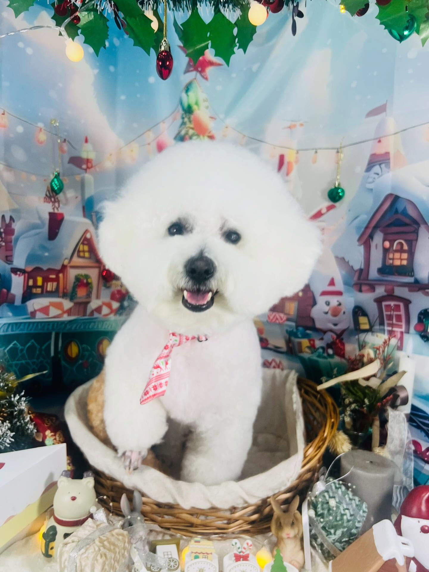 ご来店いただいたアムロくんです🐶✨