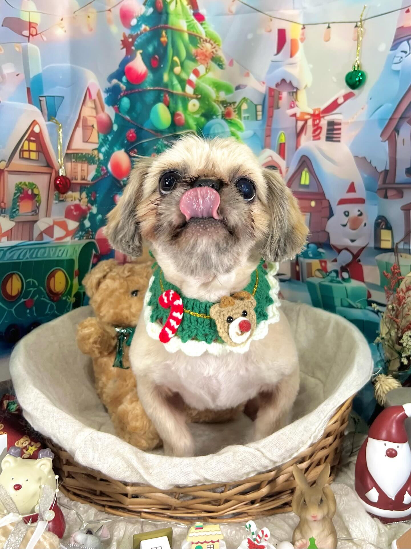 ご来店いただいた文くんです🐶✨