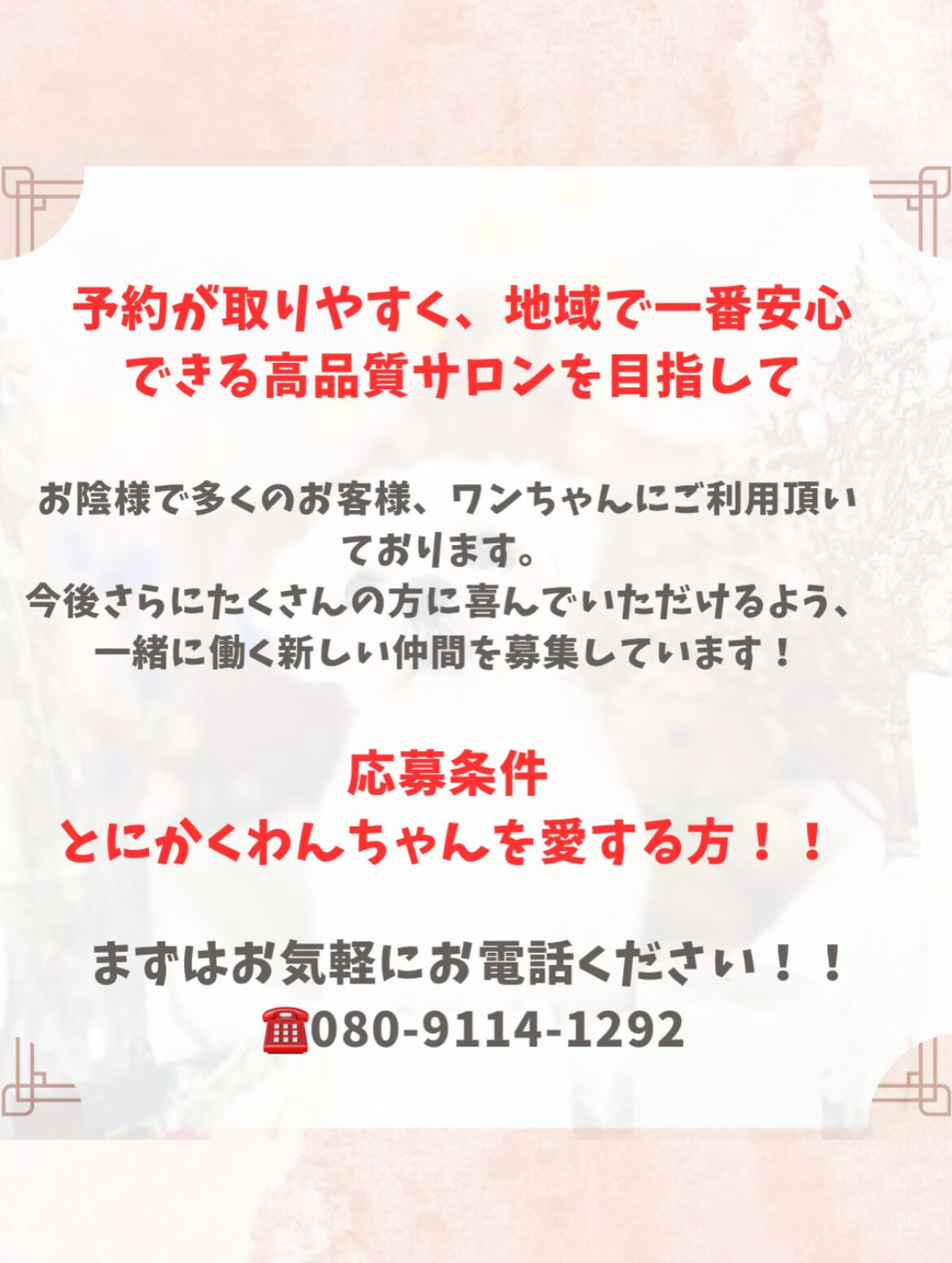 ご来店いただいたシャイくんです🐶✨