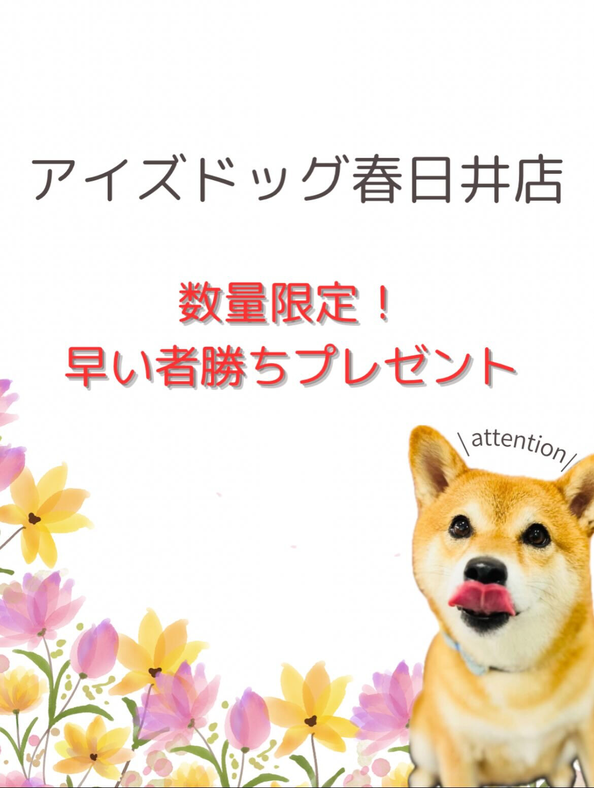 ご来店いただいたピュアくんです🐶✨
