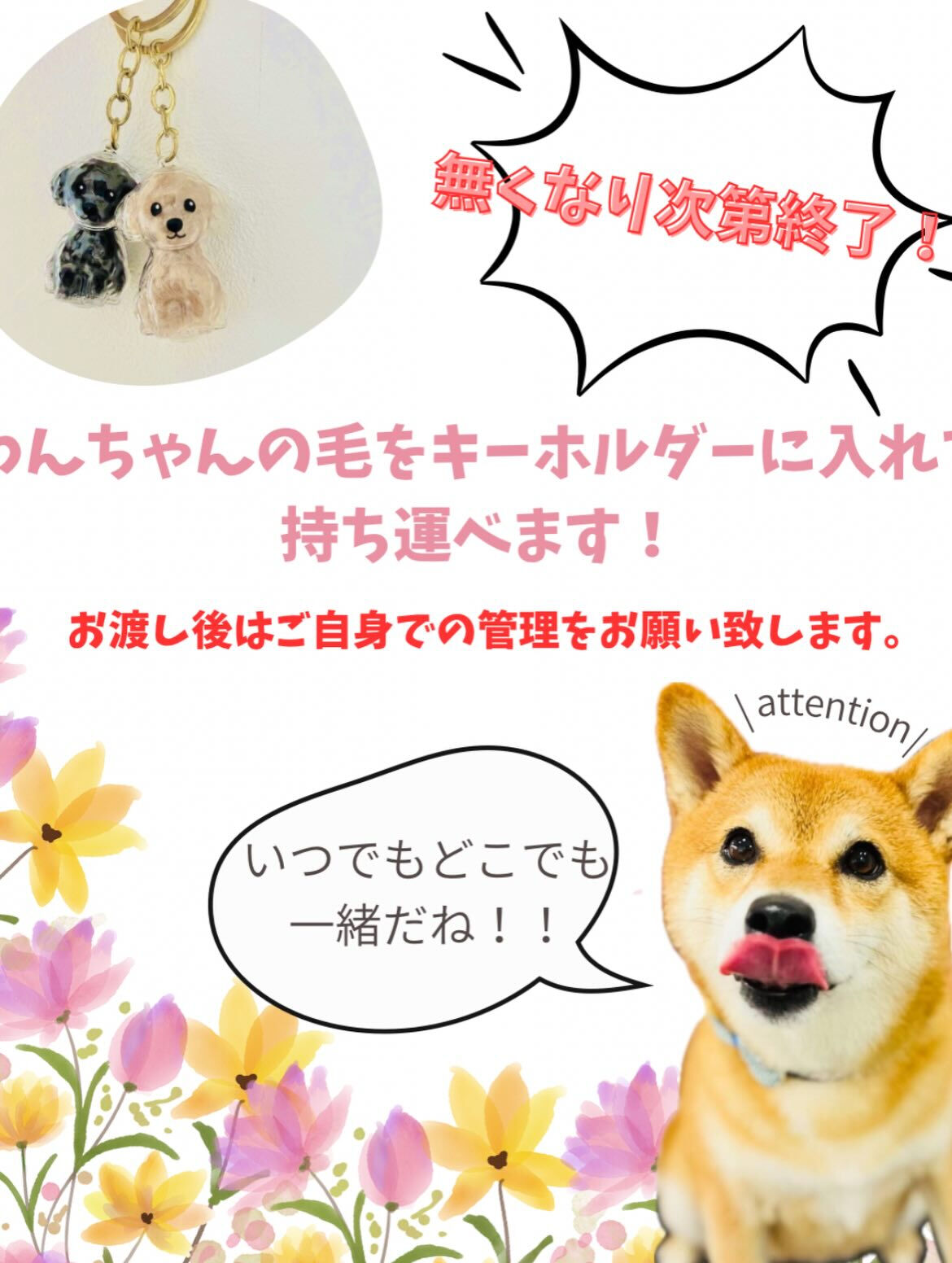 ご来店いただいたもちくんです🐶✨
