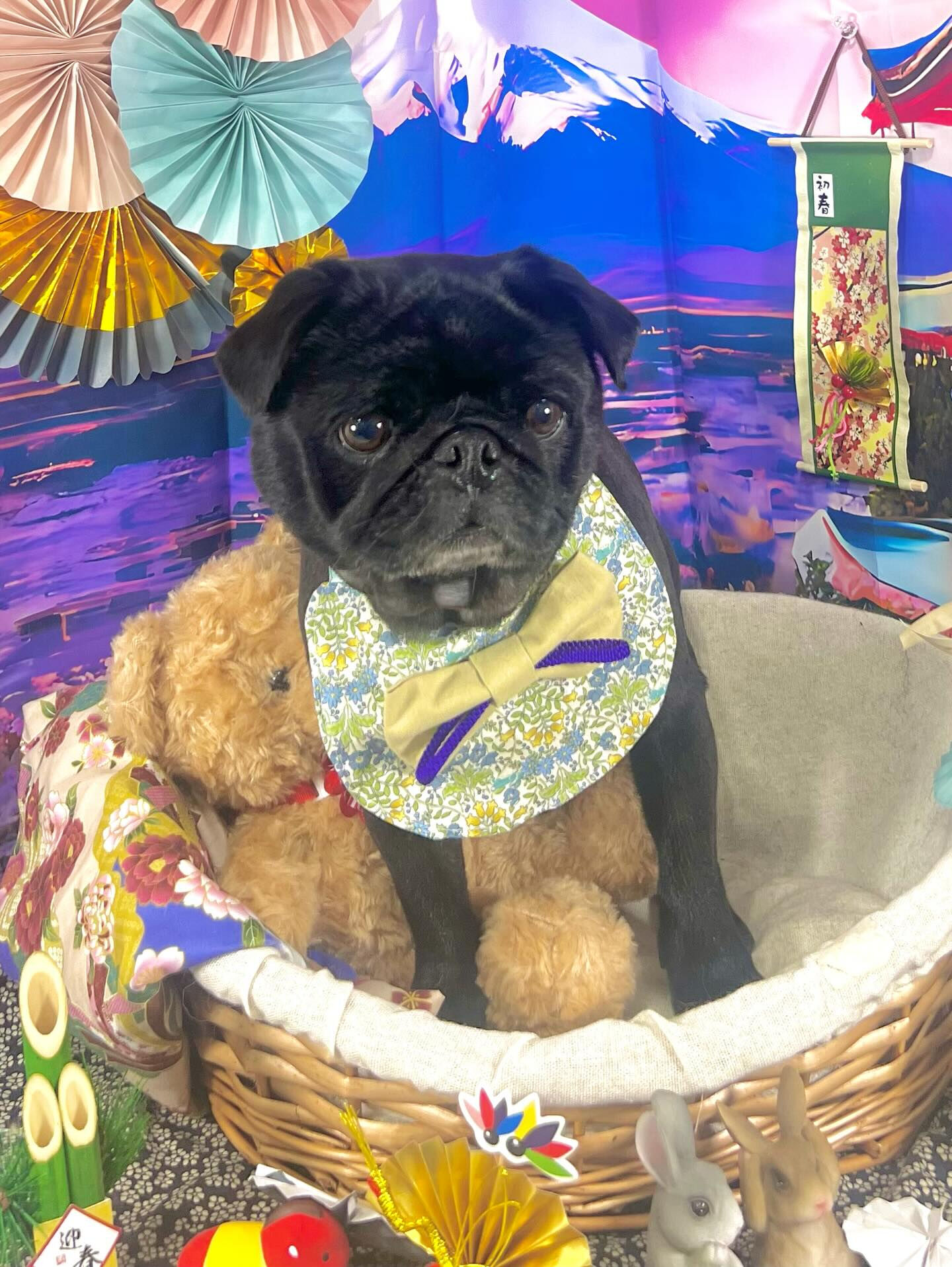 ご来店いただいたりとくんです🐶✨