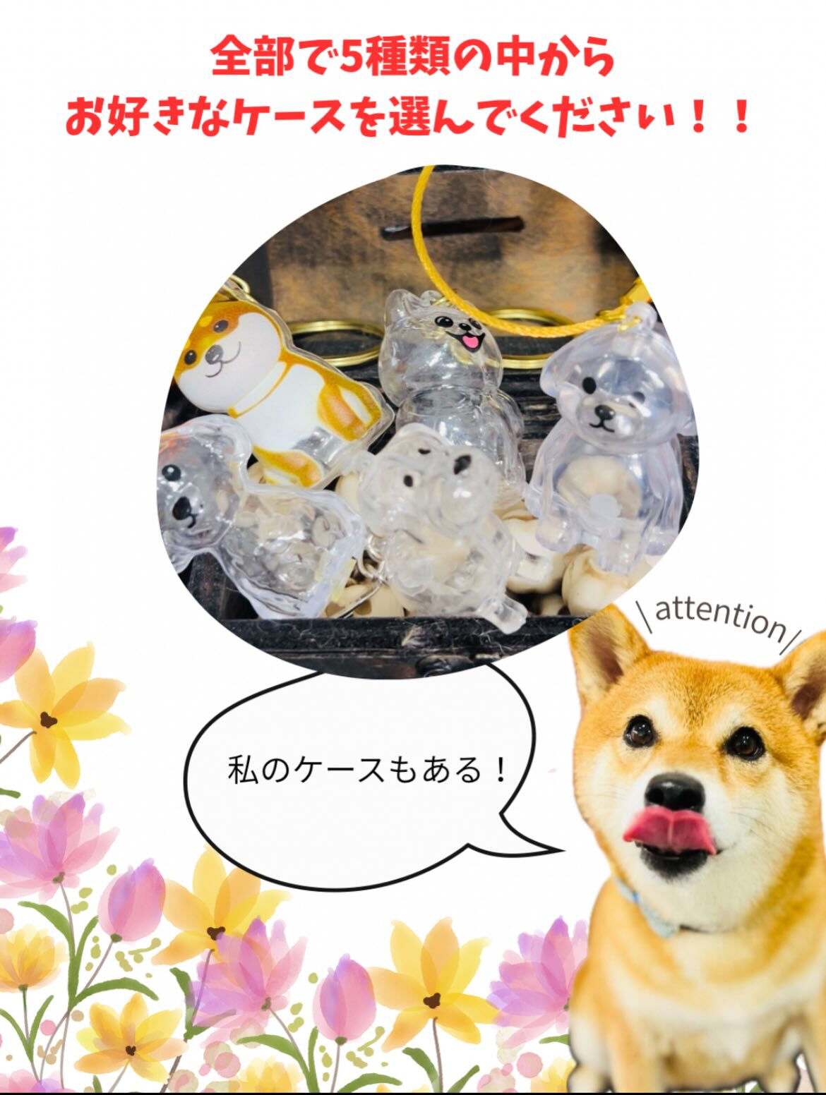 ご来店いただいたりとくんです🐶✨