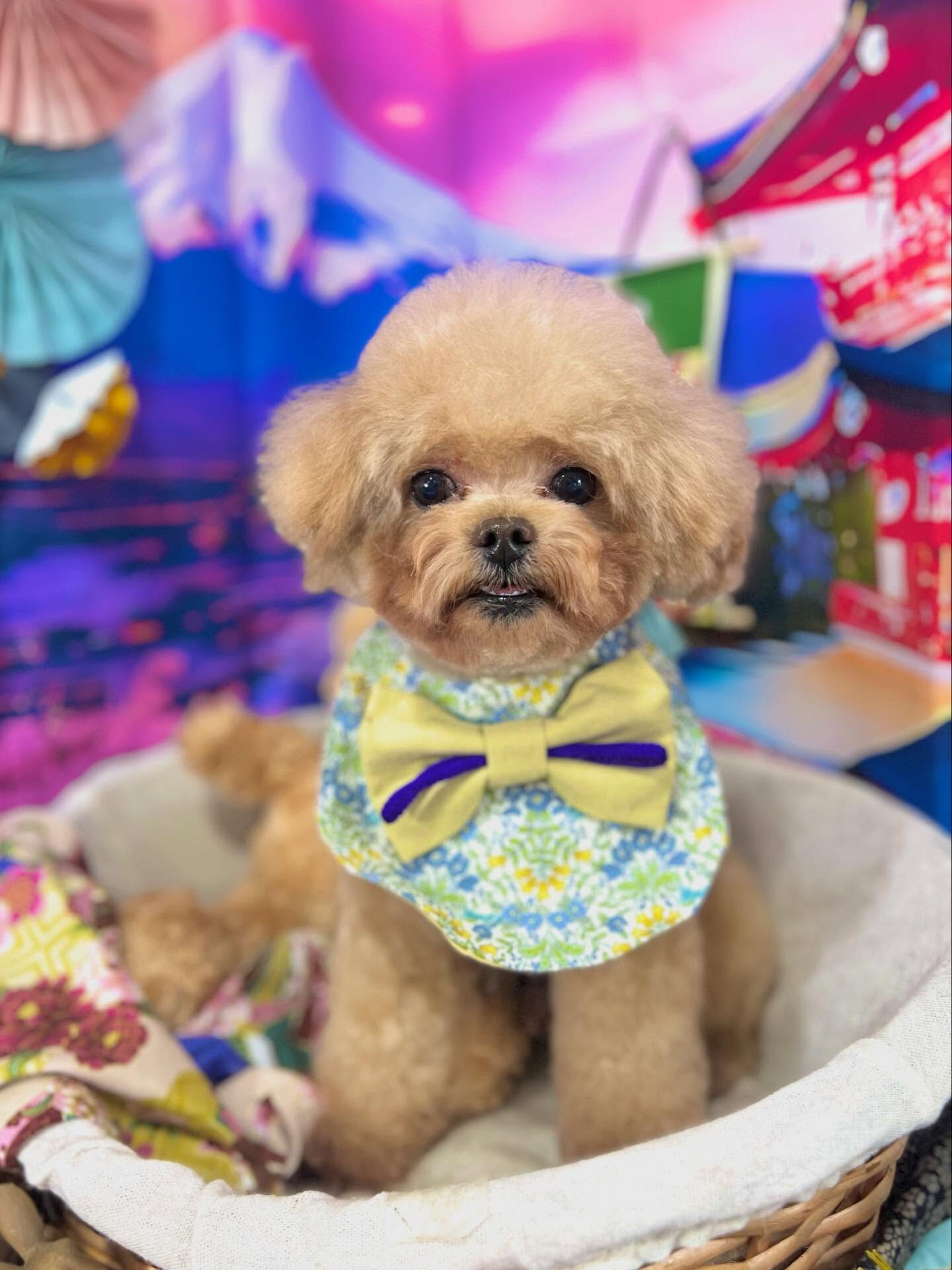 来店いただいたララくんです🐶✨