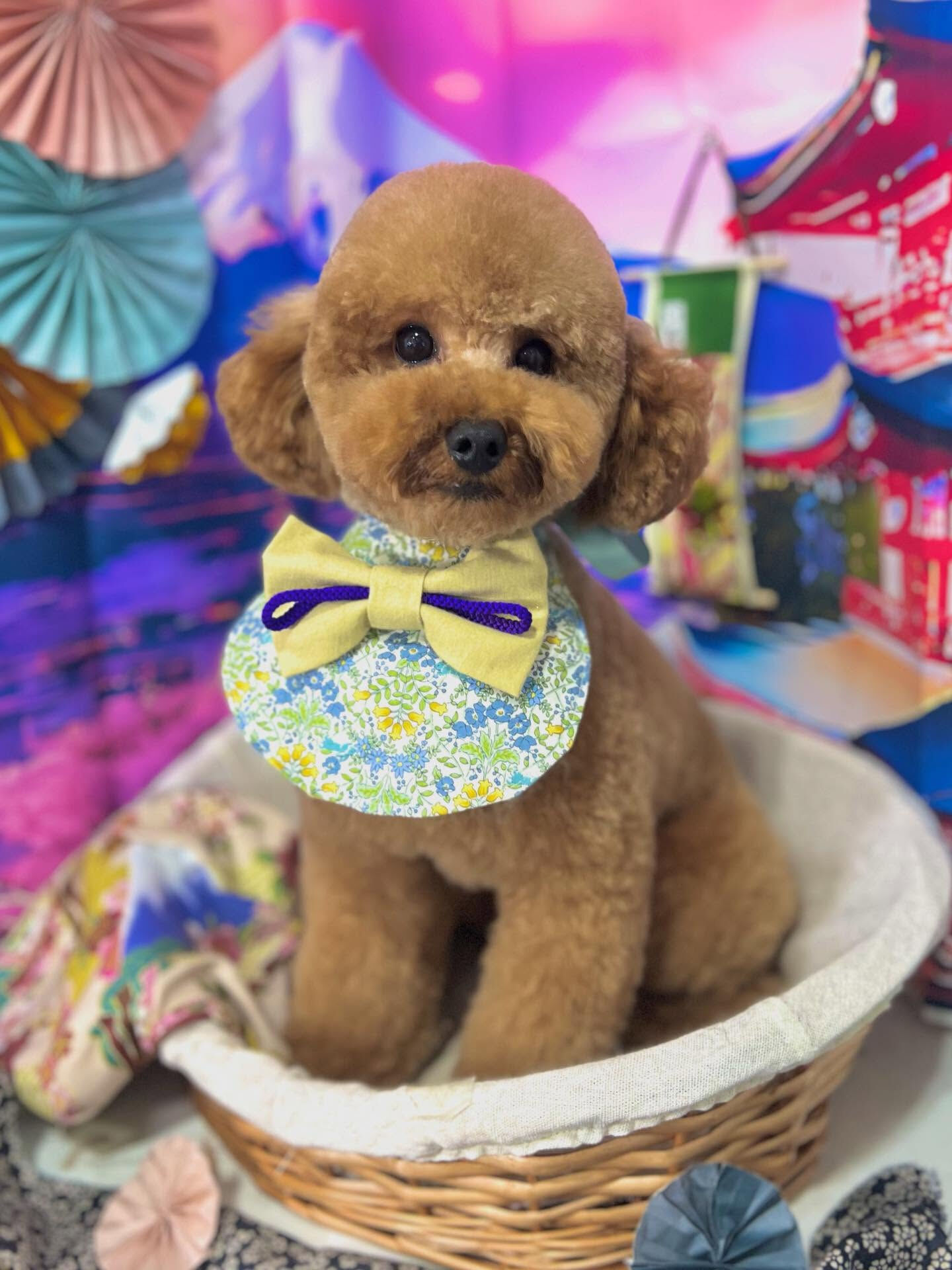 来店いただいたまろんくんです🐶✨