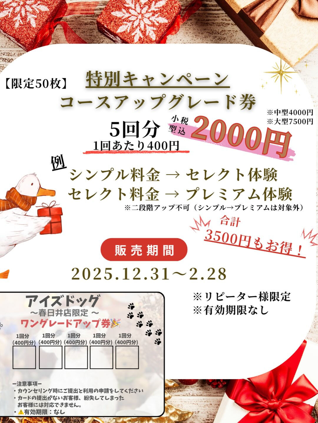 来店いただいたまろんくんです🐶✨