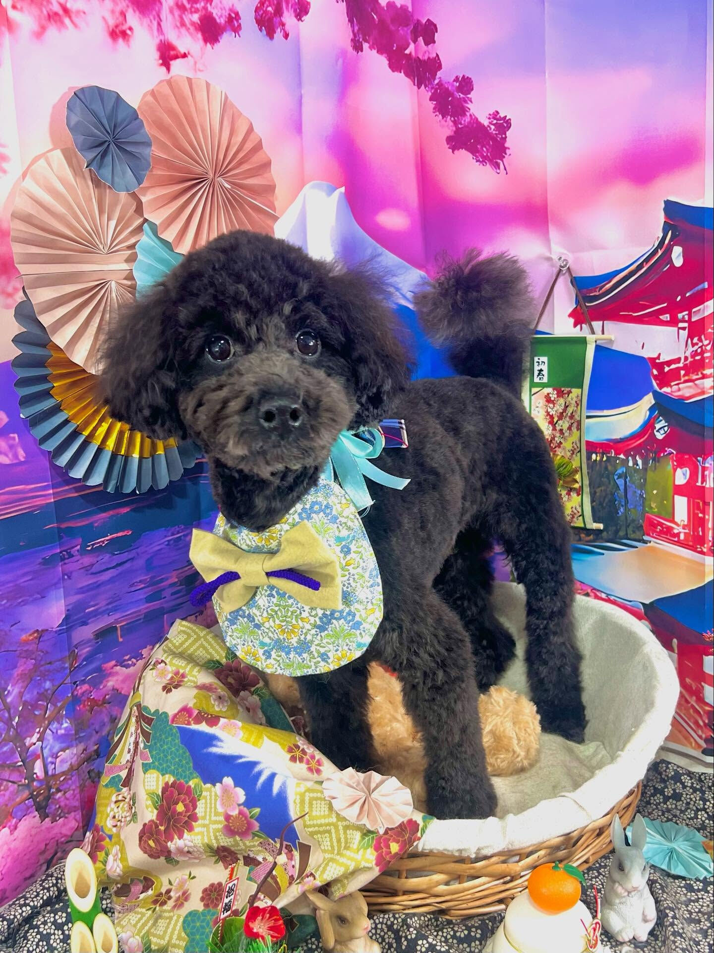 来店いただいたくろすけくんです🐶✨