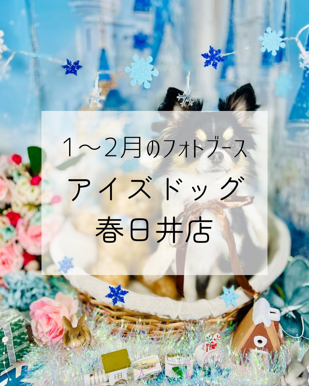 【1〜2月｜冬フォトブース】❄️🏰
